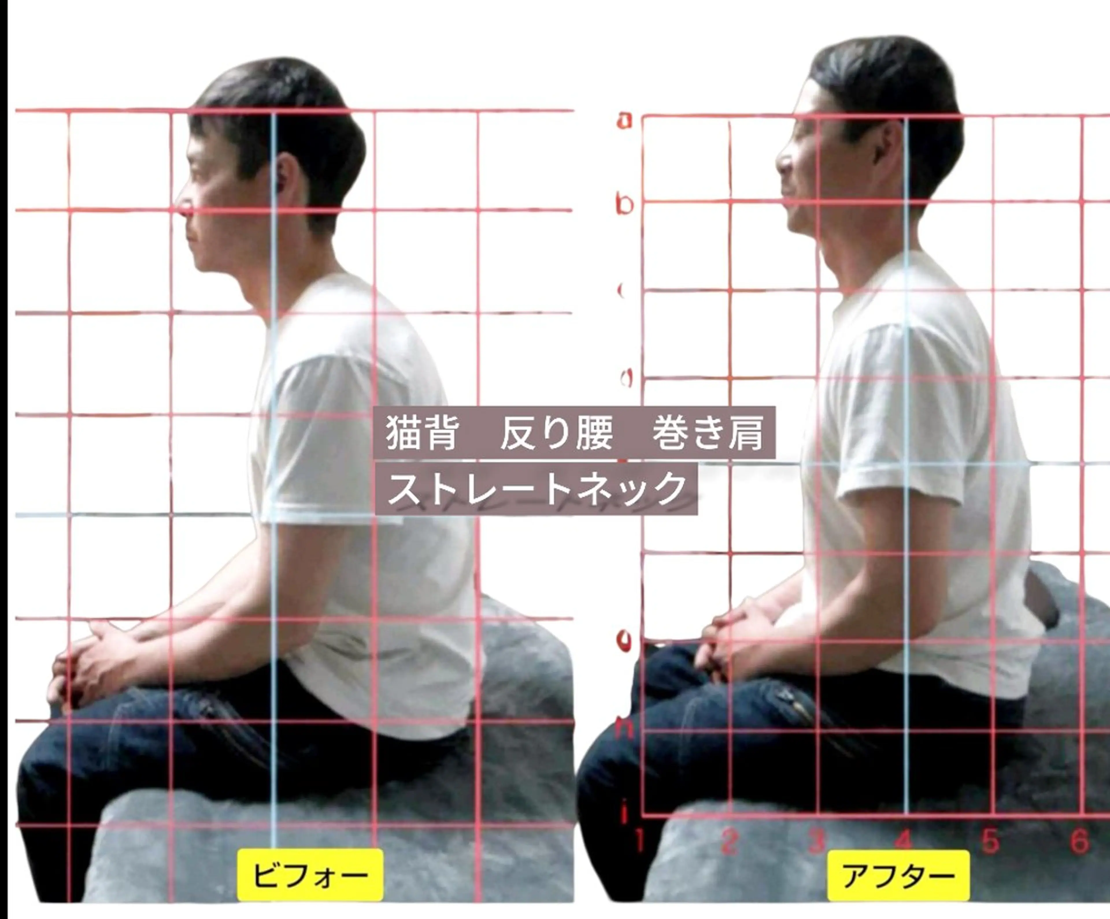 【🧚美しい身体になりたいあなたに🧚】姿勢改善コース😀の写真