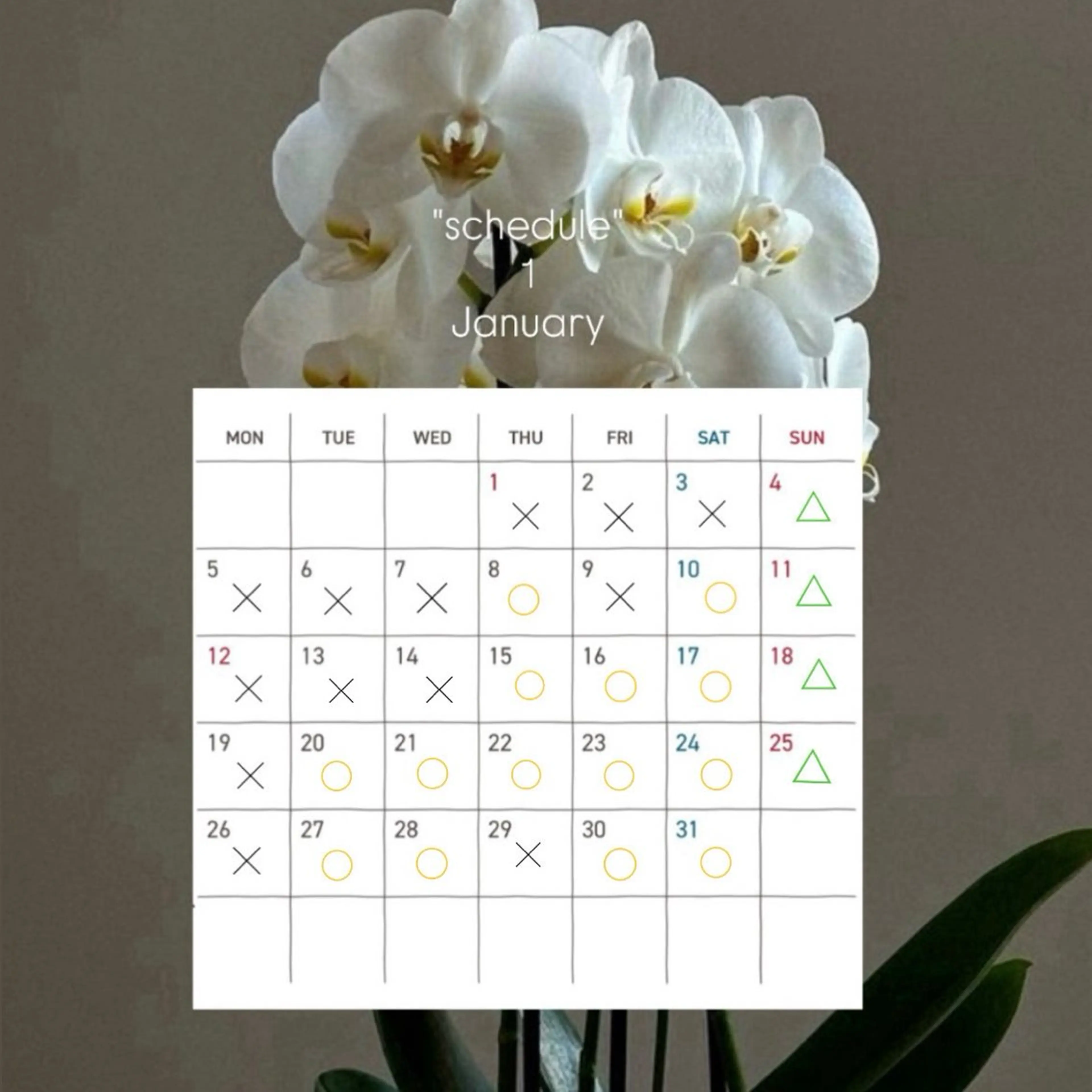 コワファースト長崎シャンプーボーイ所属・カラーモデル募集中 🫧HONOKAのヘアスタイル