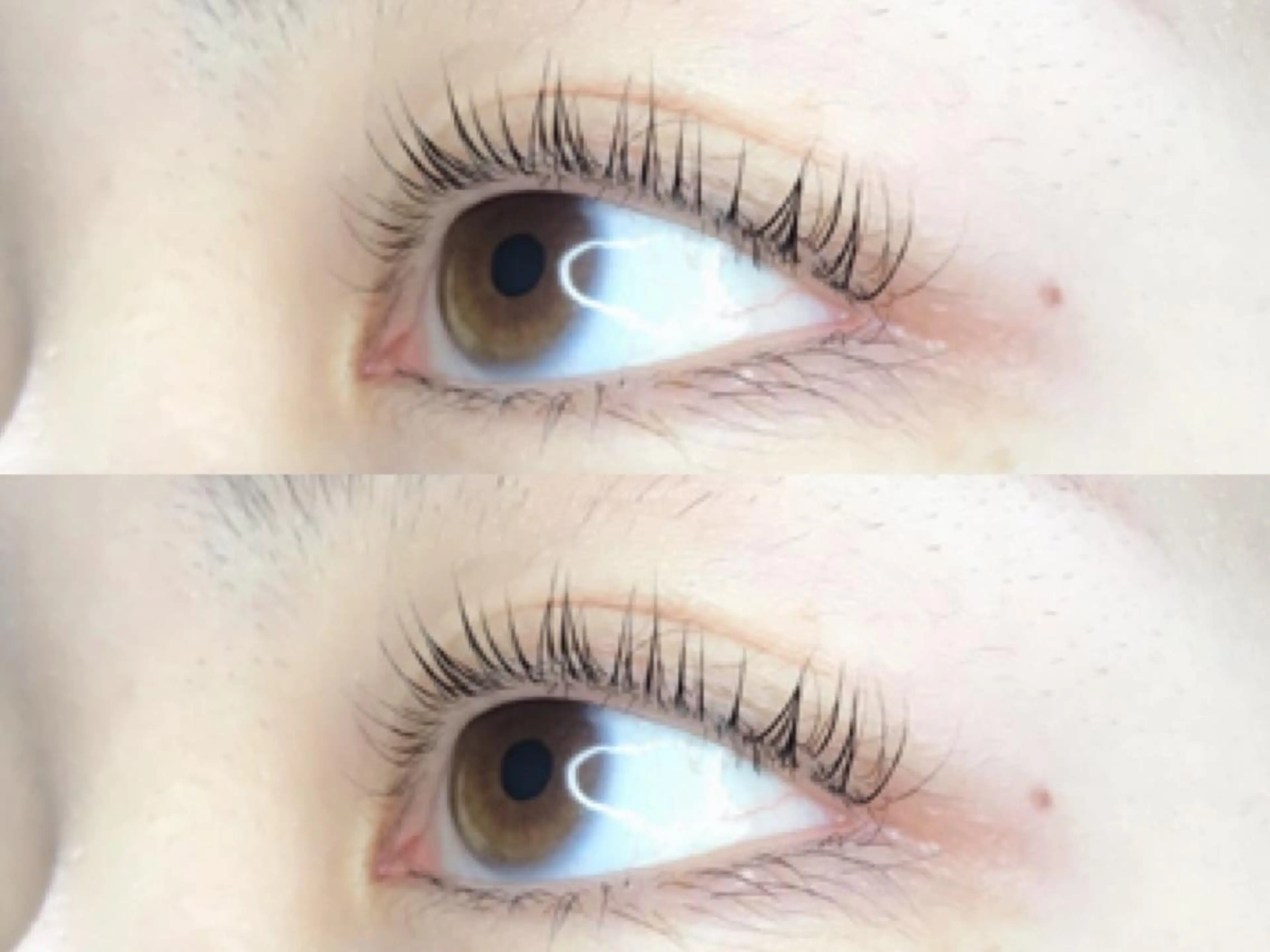 マツエク・マツパ マツパ 《eyelash ｉｉｔｅ》森のマツエク・マツパデザイン