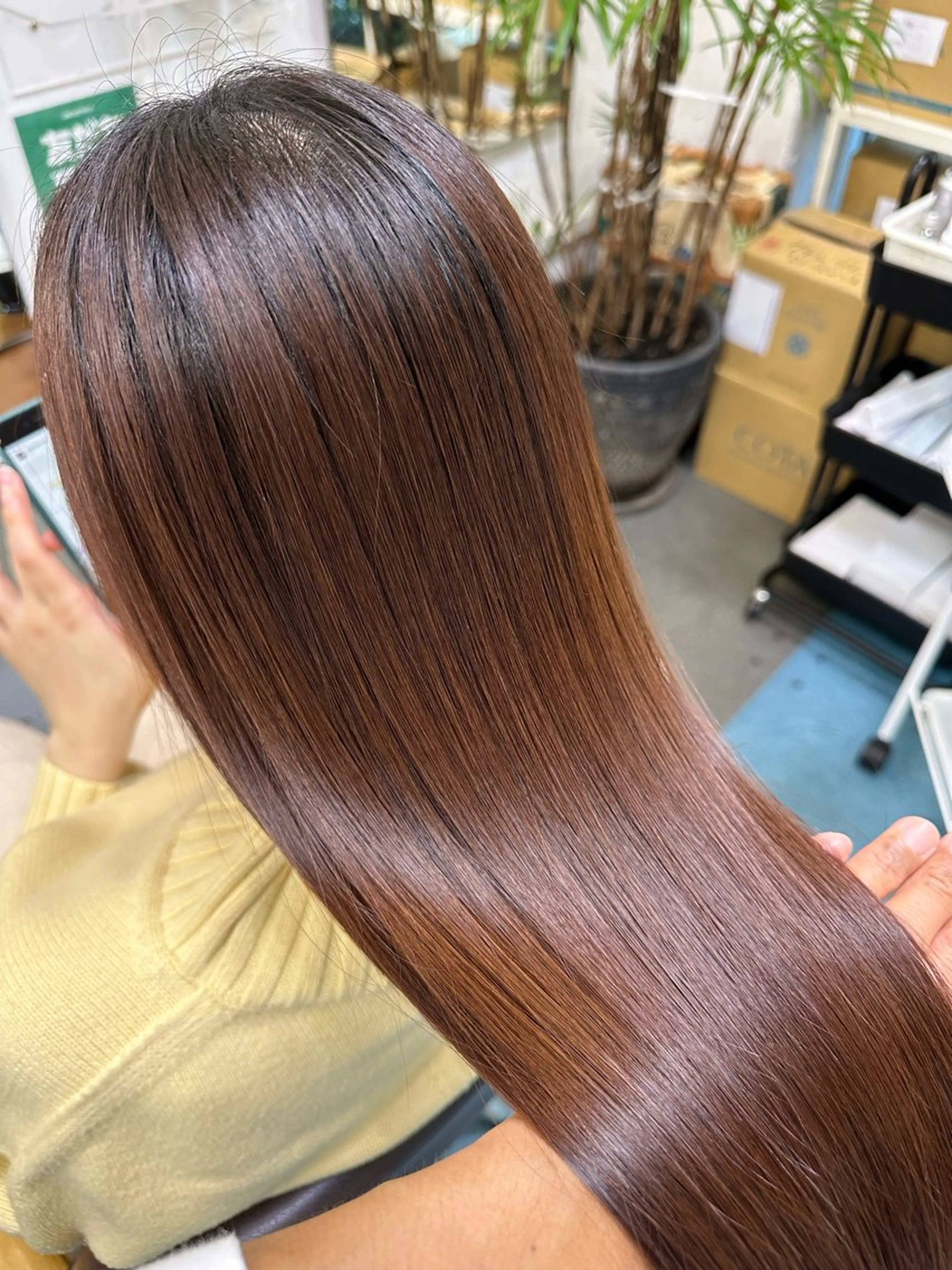 ロング カラー 髪質改善 カット ヘアカラー トリートメント 【髪質改善】に特化 オリーブオイルクラブのヘアスタイル