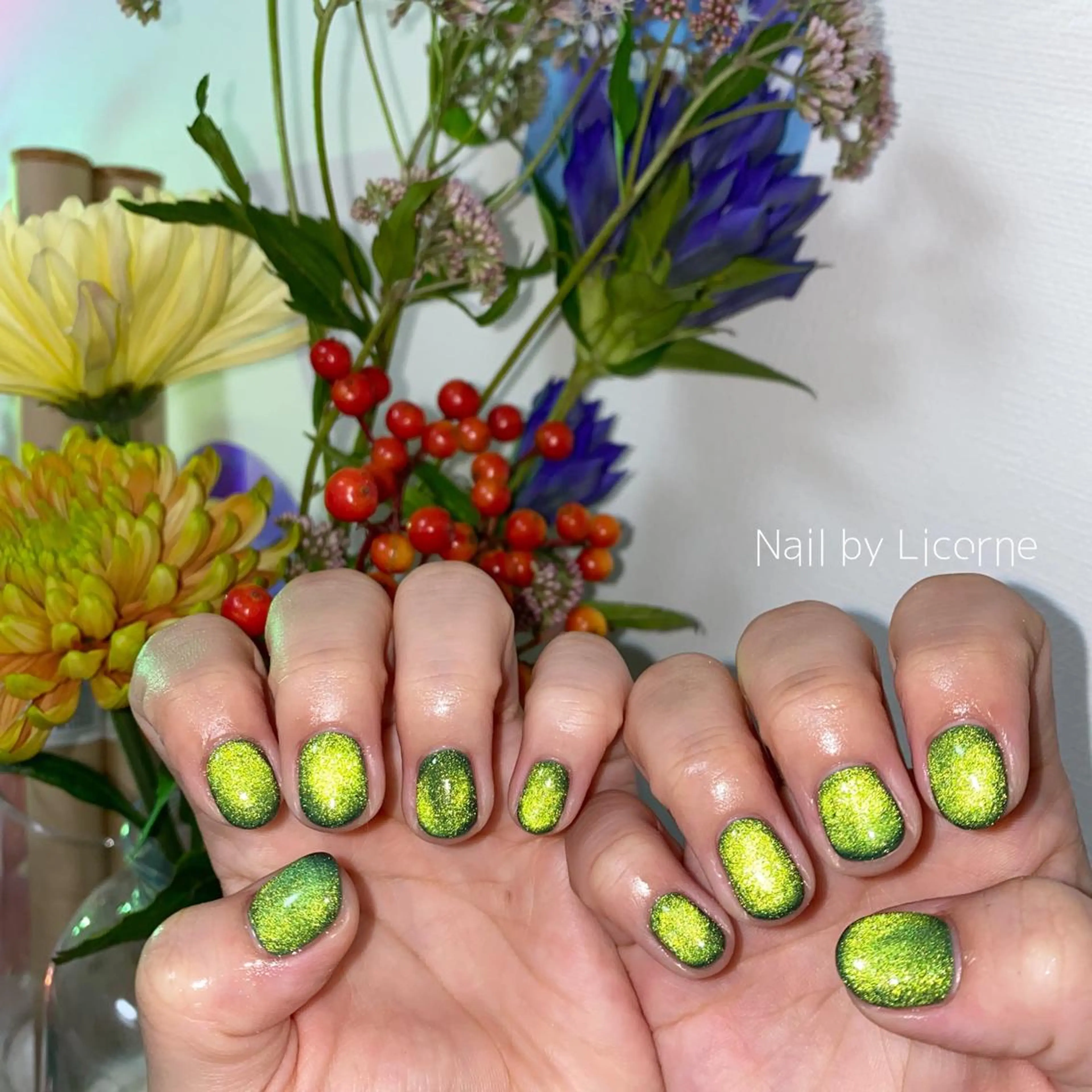 ネイル アートネイル オーロラネイル フレンチネイル 氷ネイル・うるうるネイル マグネットネイル ハンドネイル Nail by Licorneのネイルデザイン