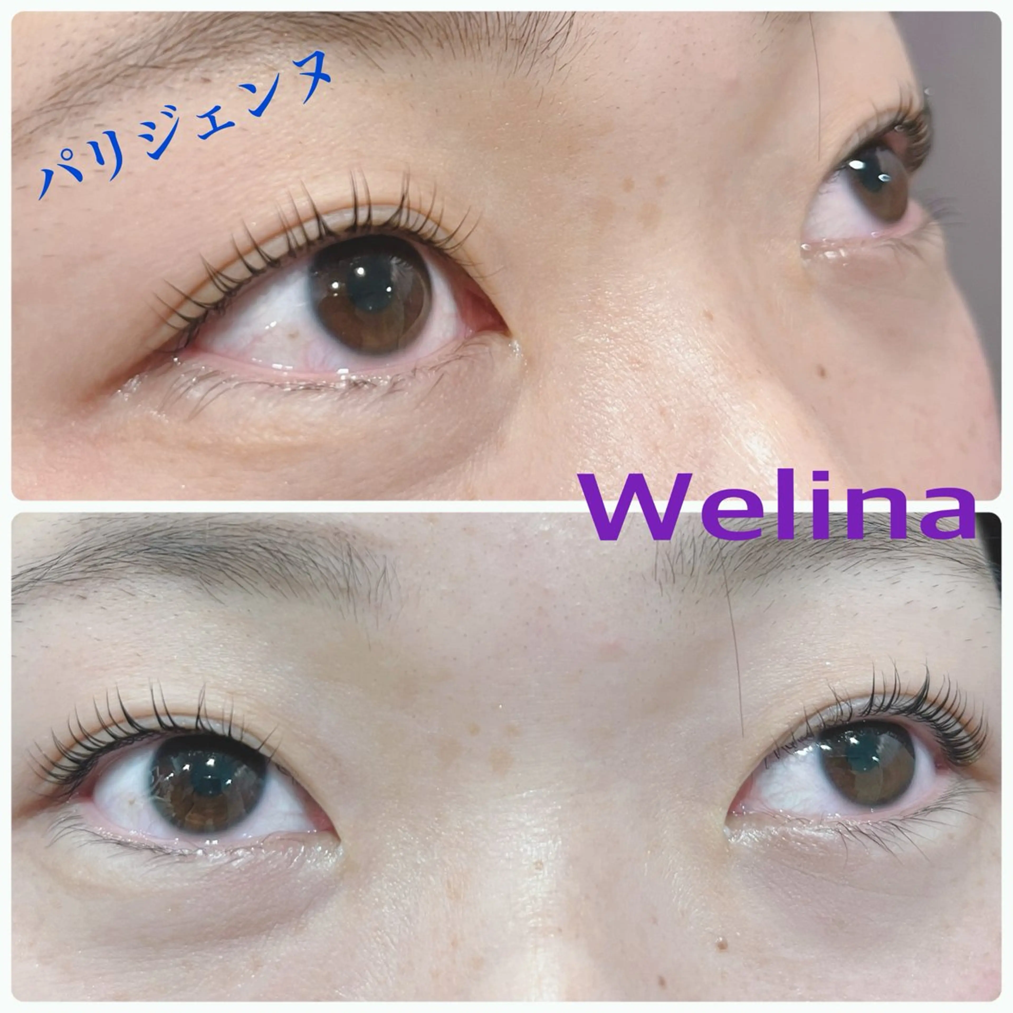 マツエク・マツパ マツパ welina mihoのマツエク・マツパデザイン