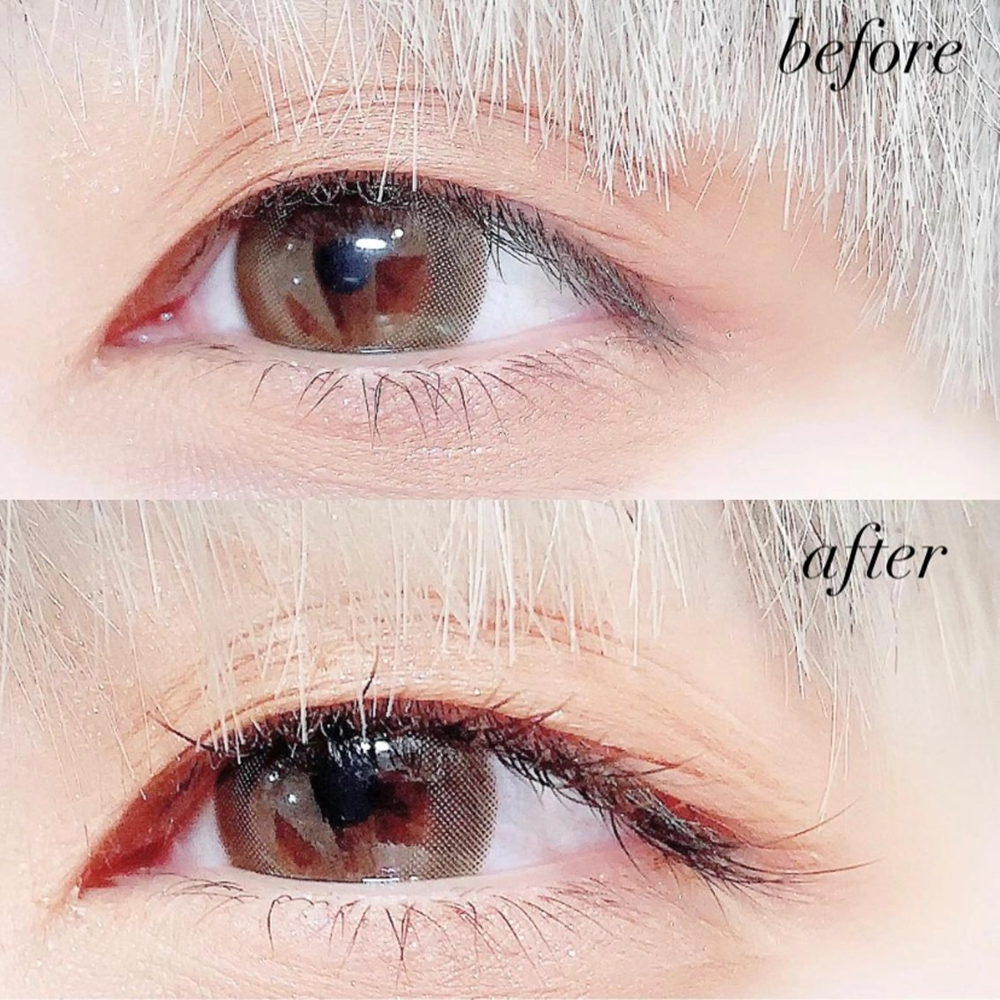 マツエク・マツパ カラーマツエク フラットラッシュ Jカール Lanhr所属・【Lanhr】 🕊aya🕊のマツエク・マツパデザイン