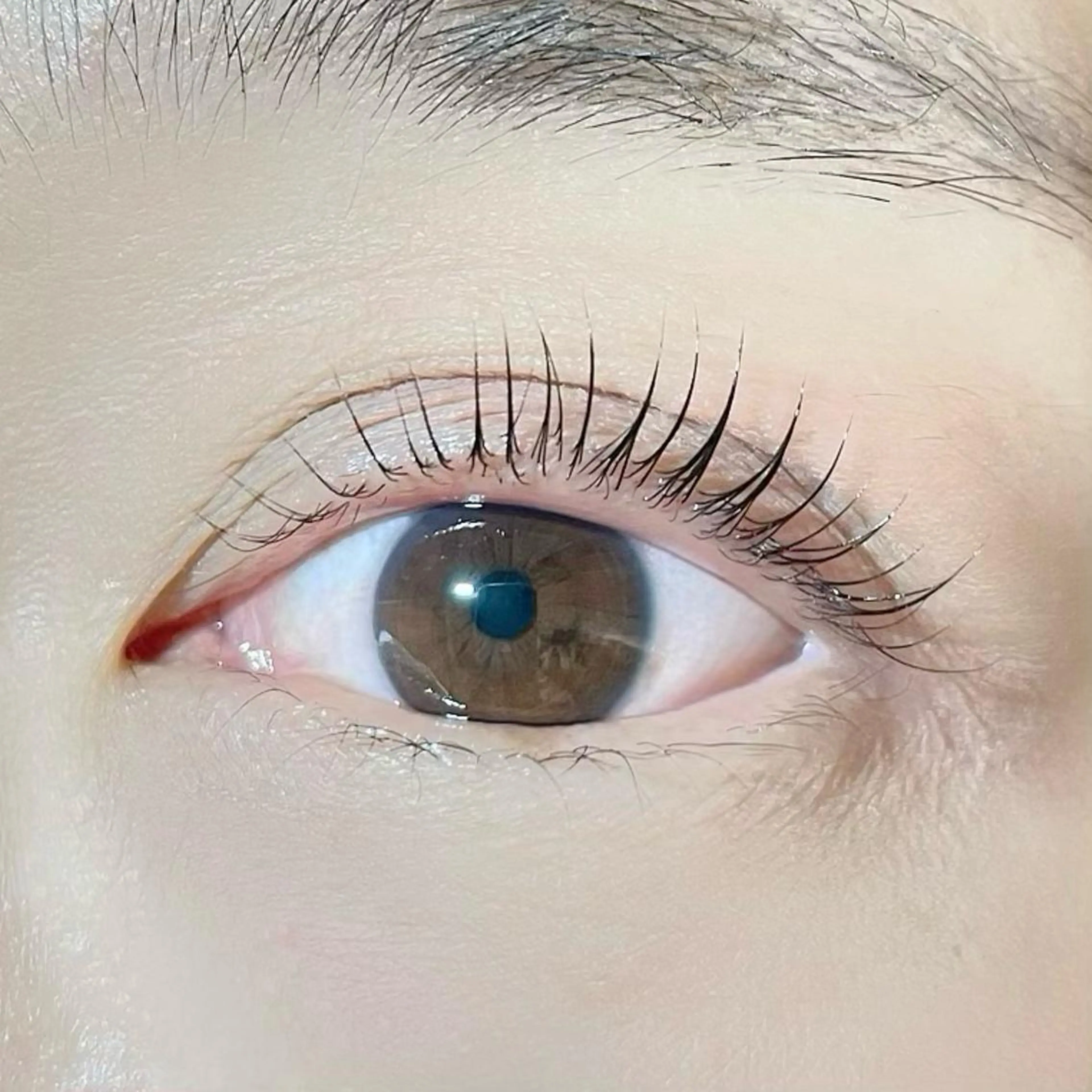 マツエク・マツパ マツパ chuna eyelashのマツエク・マツパデザイン