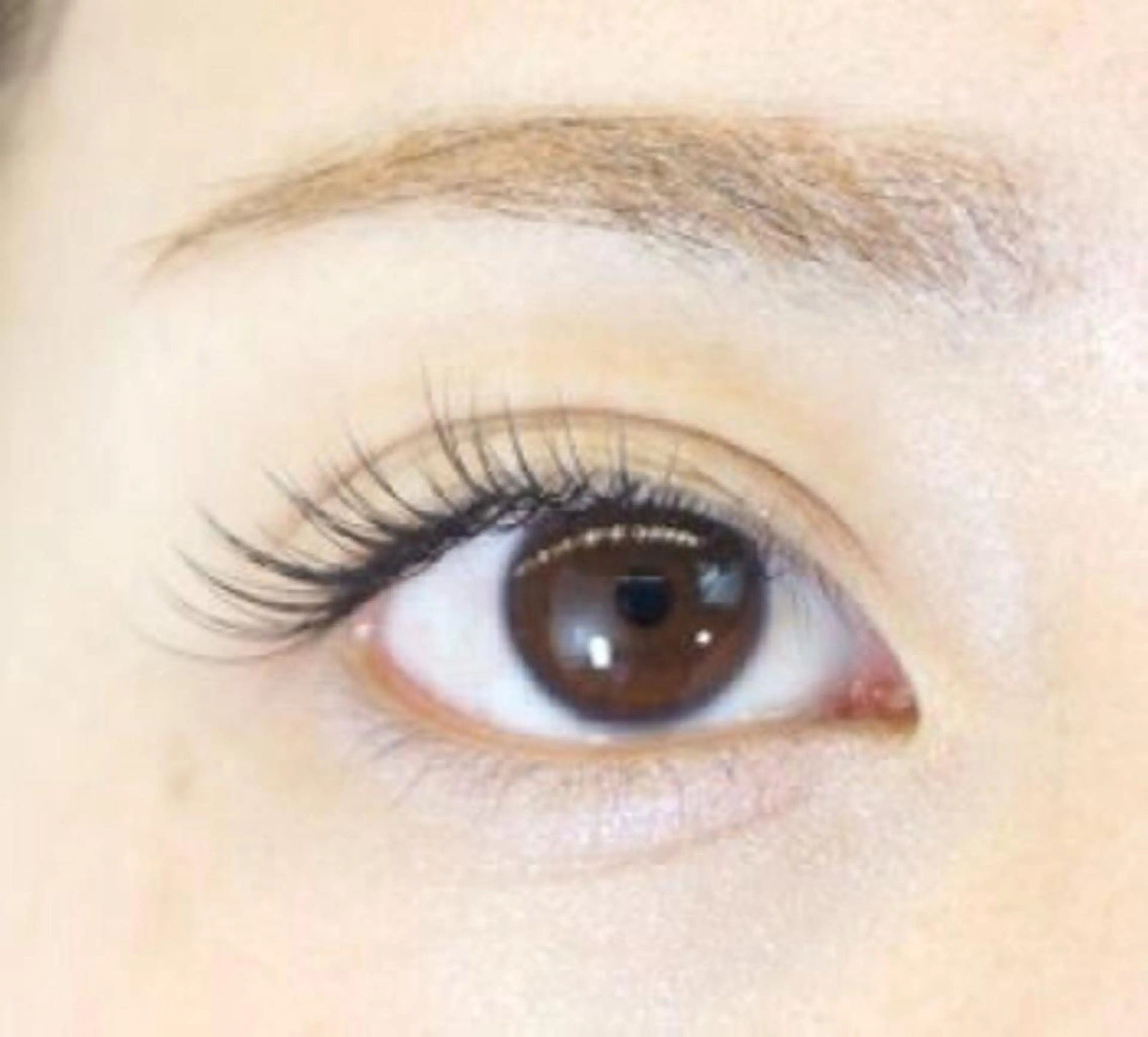 ❣️ミンク上両目80本～140本(オフ.コーティング込)❣️の写真