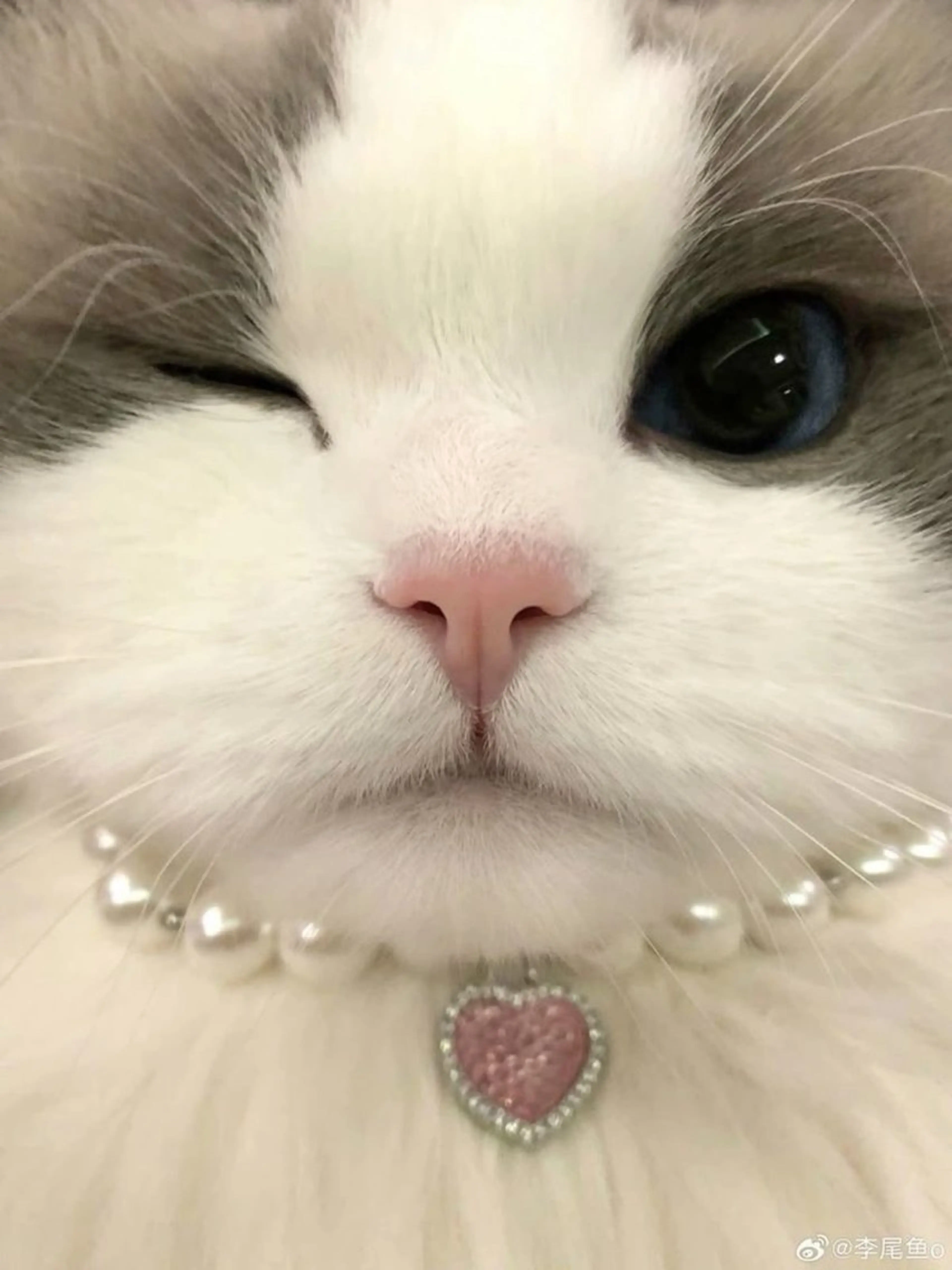 アイブロウ Lash&brow PORTE269布施店所属・brace 竹田愛海のエステ・リラクイメージ