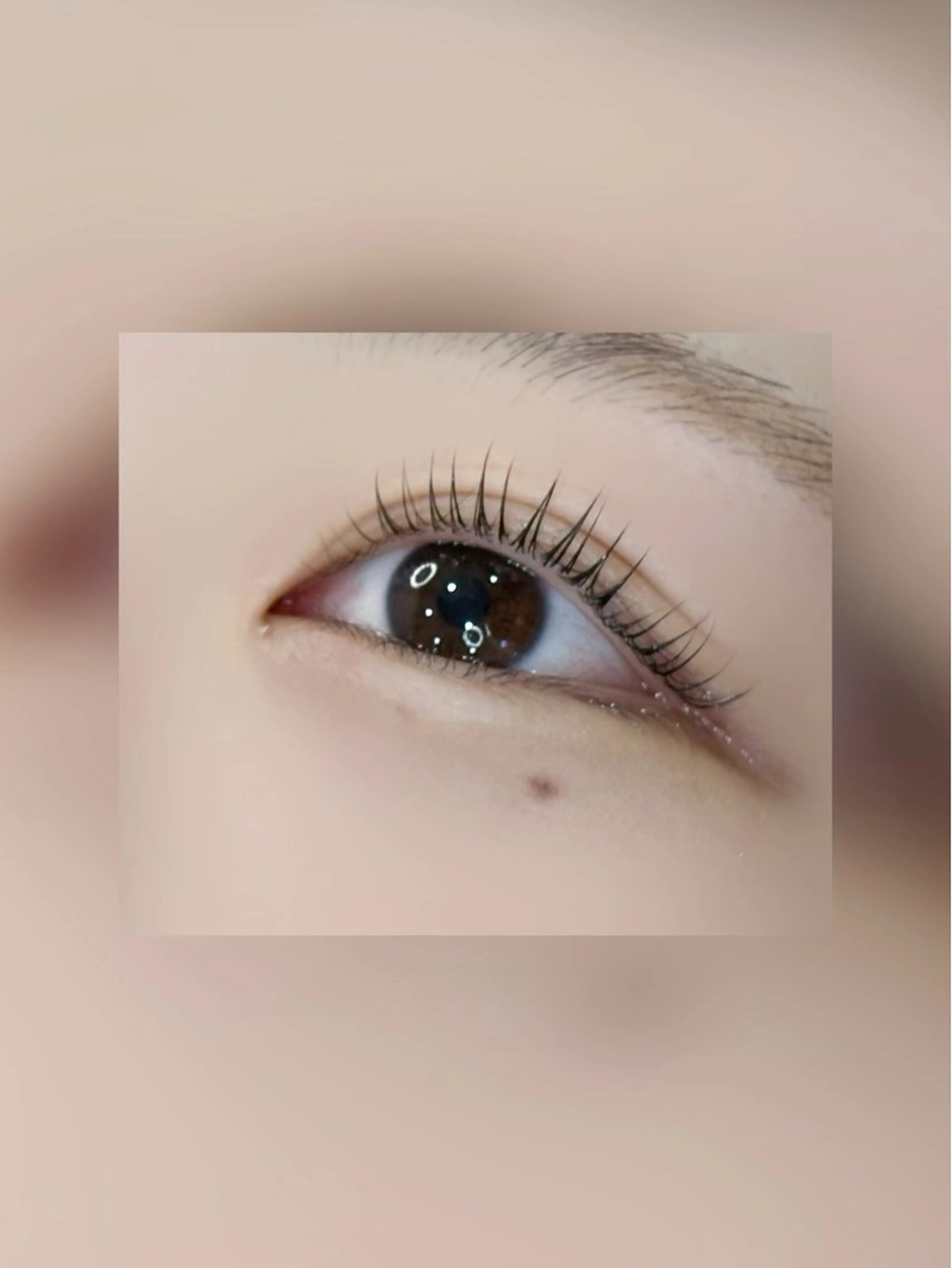 【💜まつ毛パーマ💜】プロヘアメイクが施術💄コーティング付きの写真