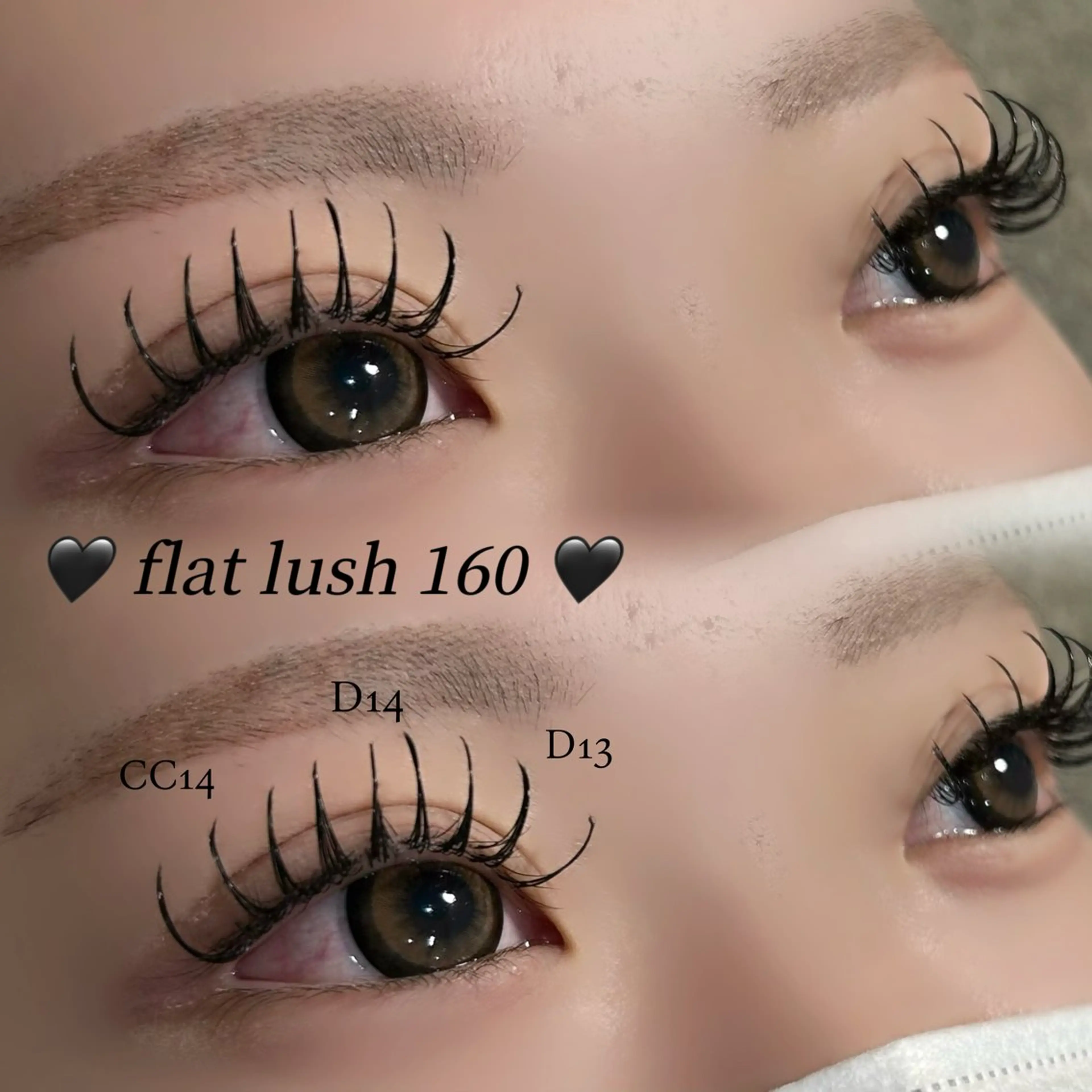 🤎flat lush 160本🤎オフあり(120分程度の写真