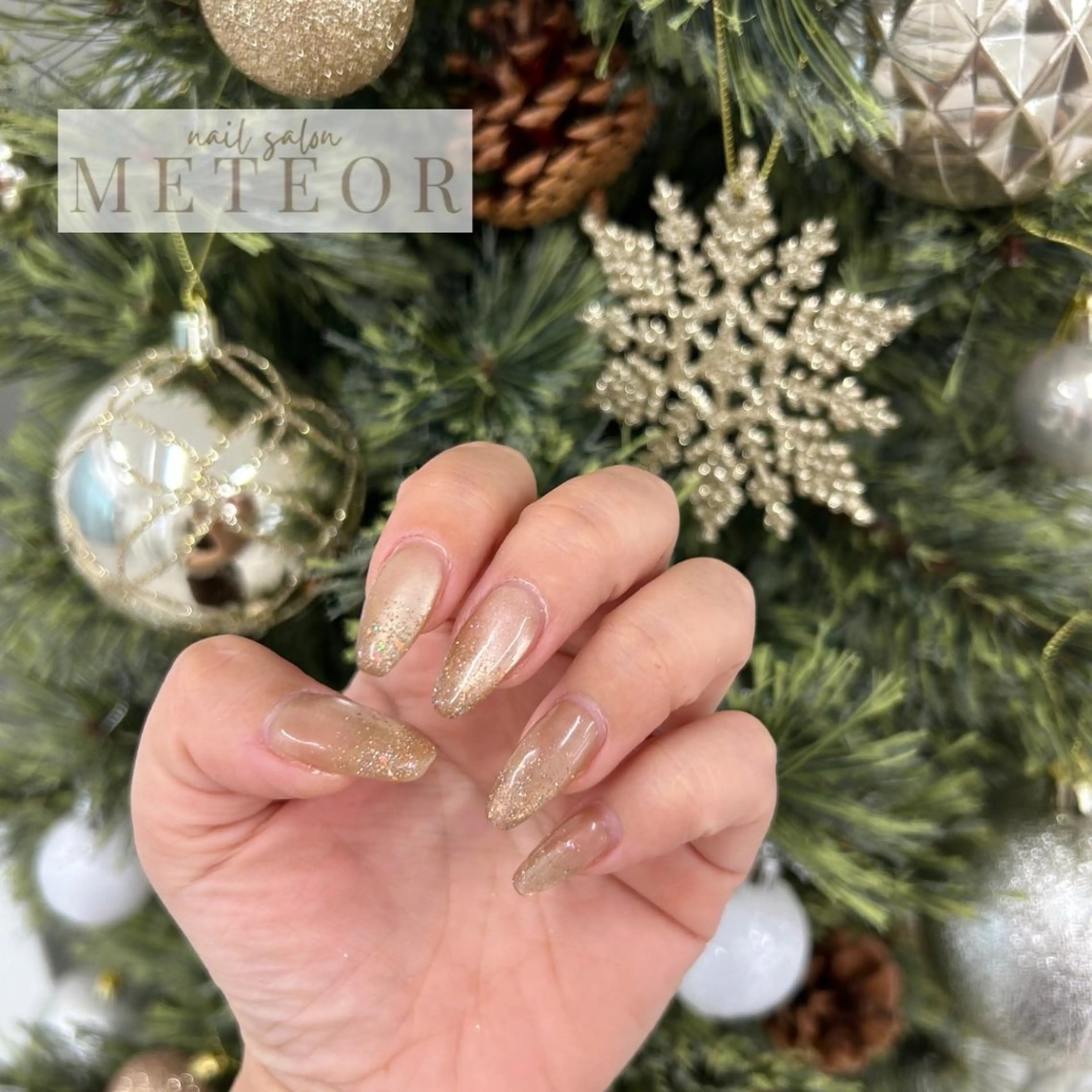 ネイル フラッシュネイル キラキラネイル マグネットネイル ワンホンネイル 冬ネイル ハンドネイル nailsalon meteor所属・meteor staffのその他イメージ
