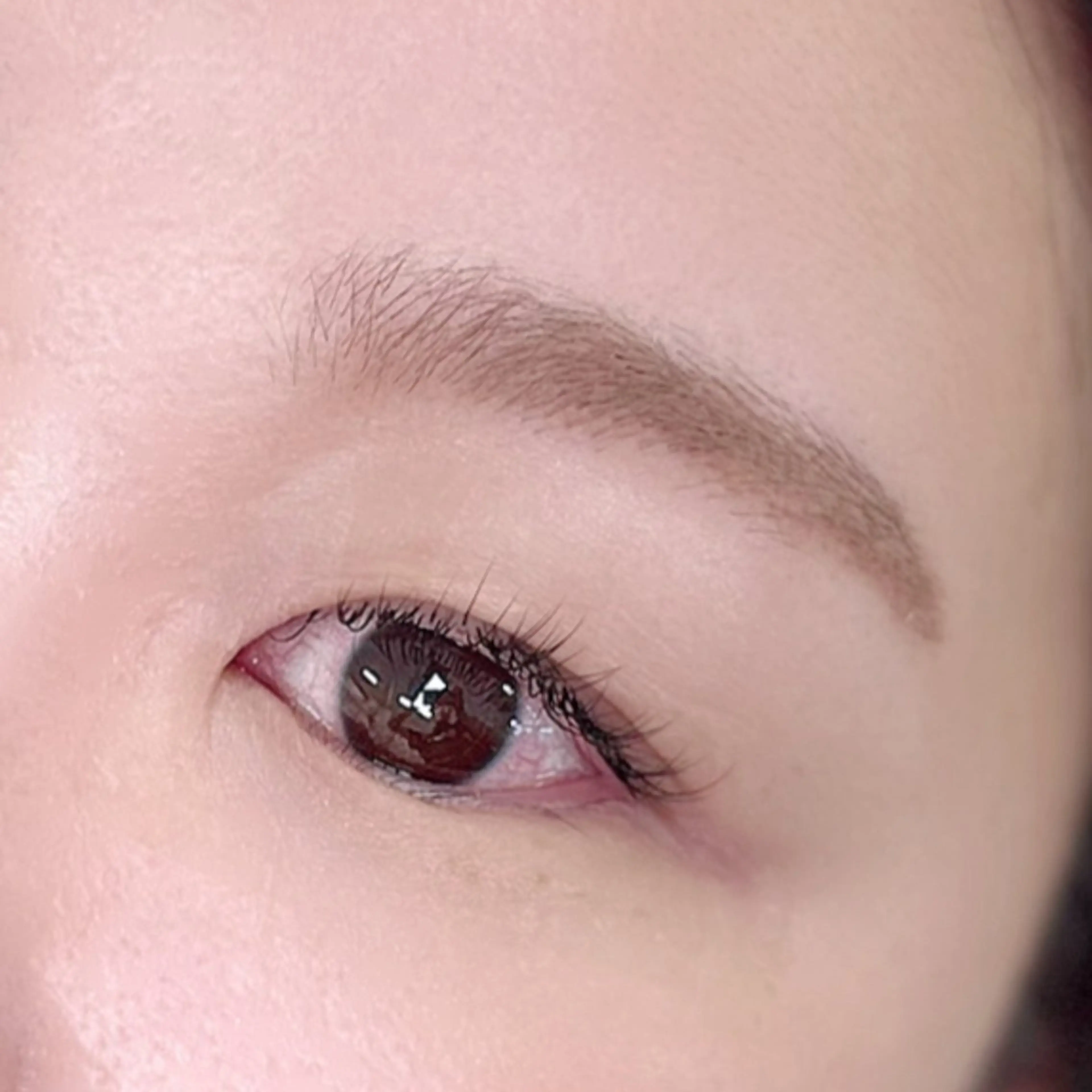 マツエク・マツパ Cカール シュールシル 蒲田店所属・SourCil 蒲田 kiraraの眉毛・アイブロウイメージ