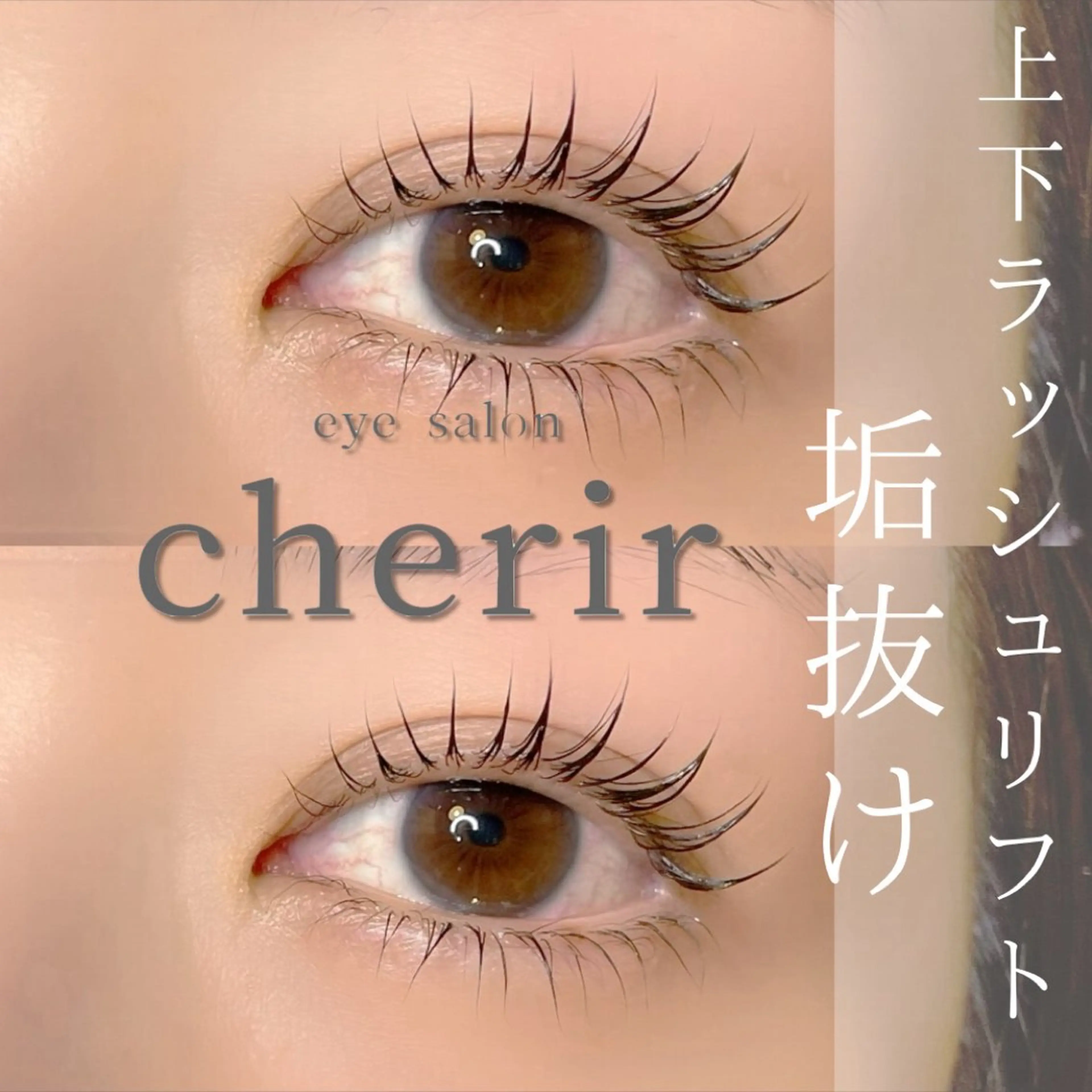 上下 Lash Lift ✨高濃度トリート込み✨の写真
