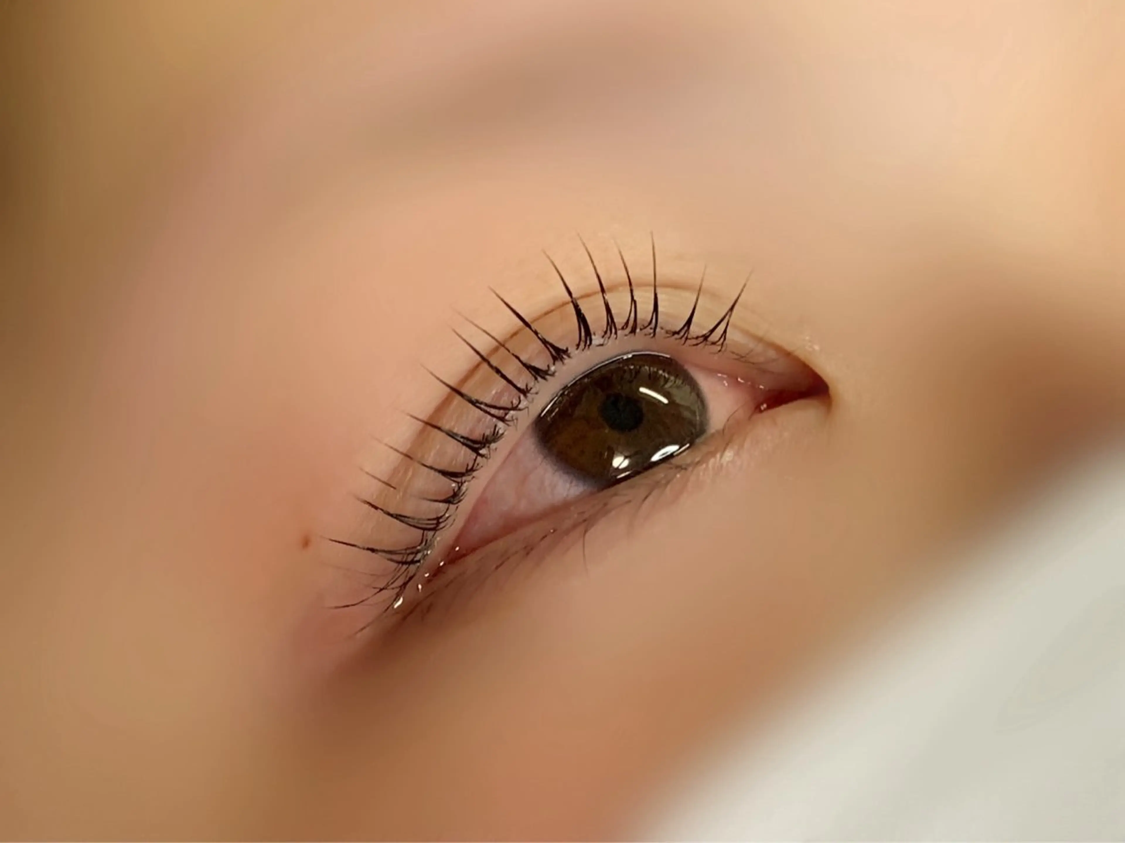 まつ毛パーマ【メーテルロッド/目尻流すデザイン】(上まつ毛)の写真