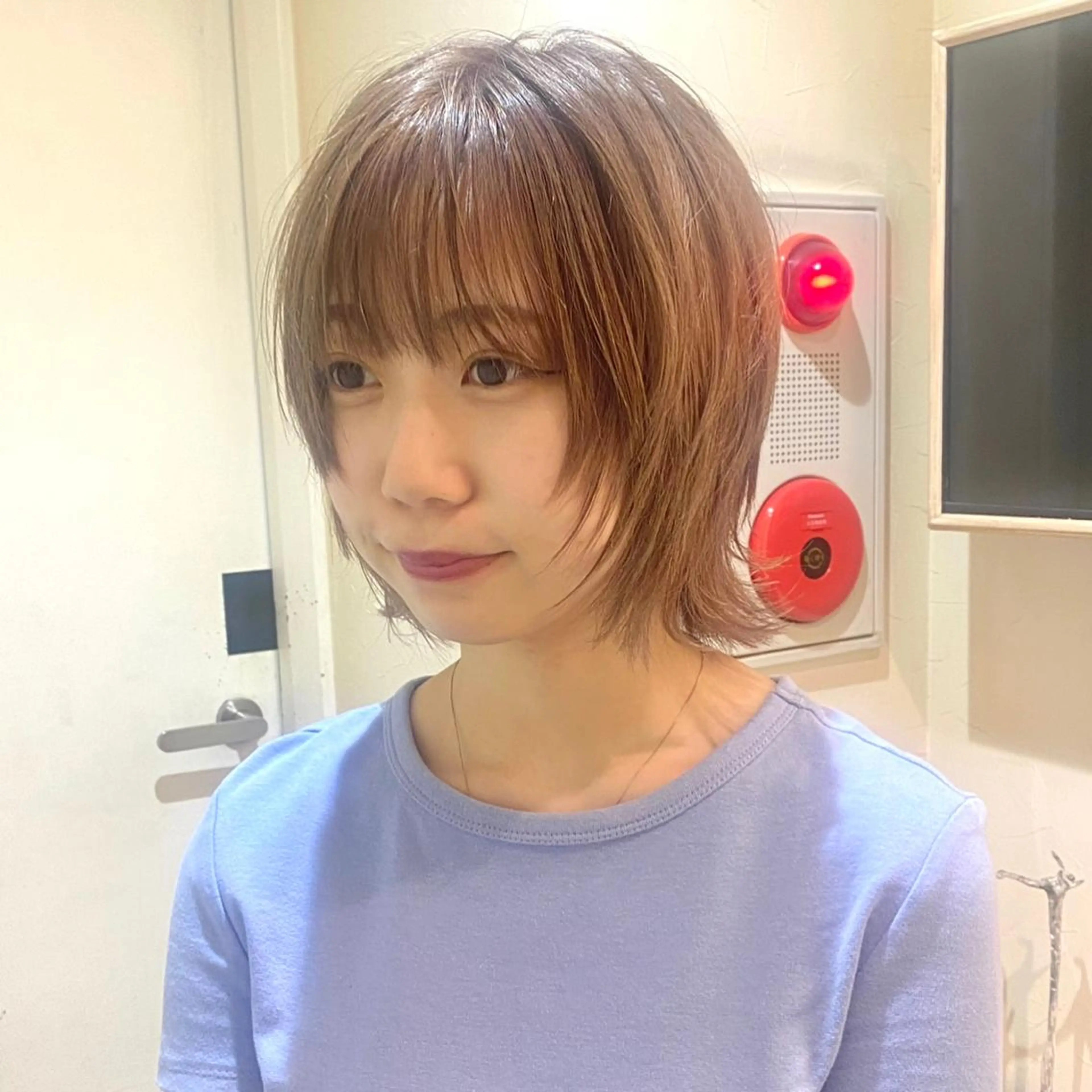 ショート カラー アッシュ 黒髪 ブルーカラー ブルーブラック ハイトーンカラー ✨BASSA 【高田馬場】✨のヘアスタイル