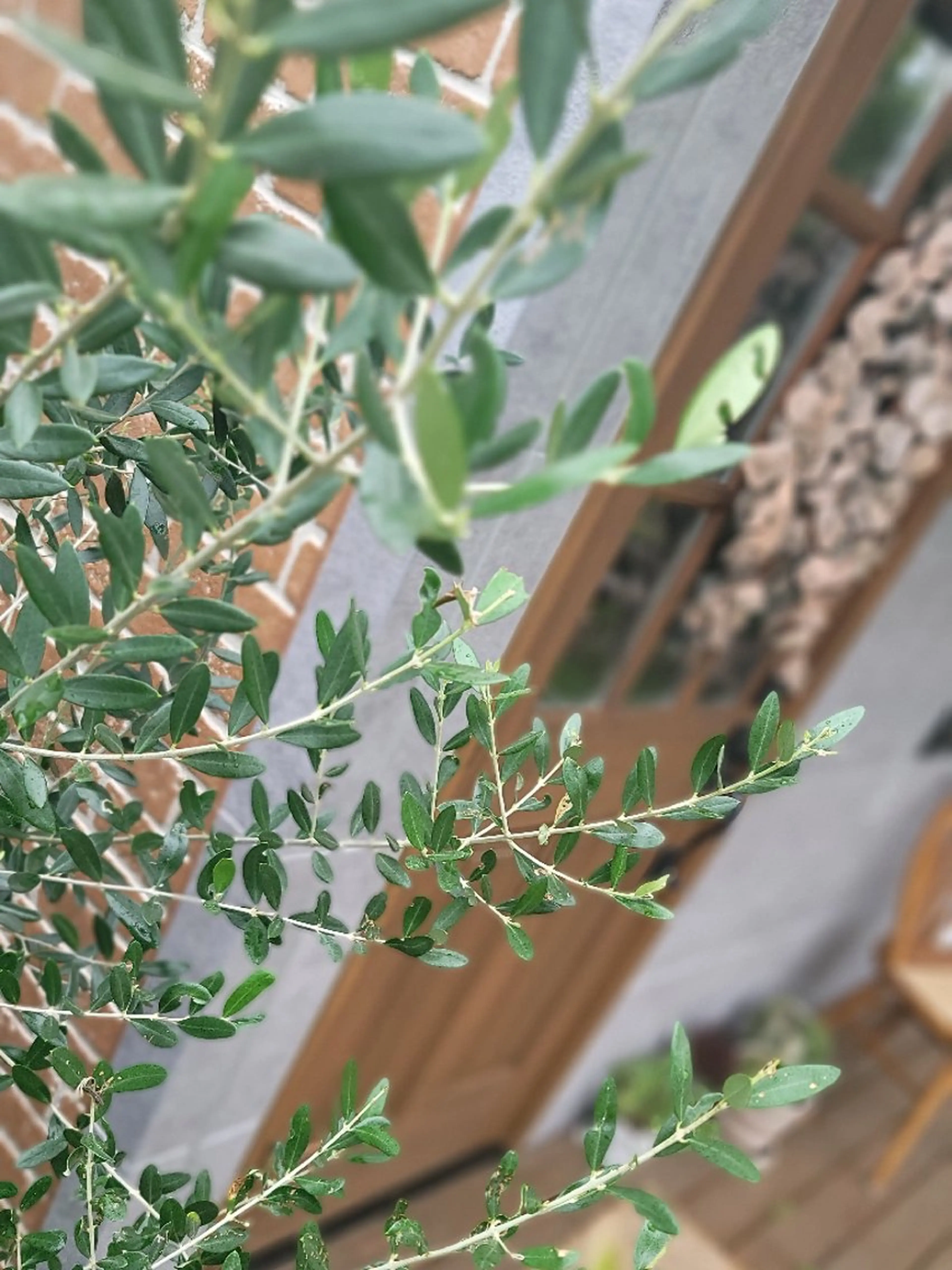 ネイル 🌲🌳🚪iiit o🌲🌳🌲のネイルデザイン