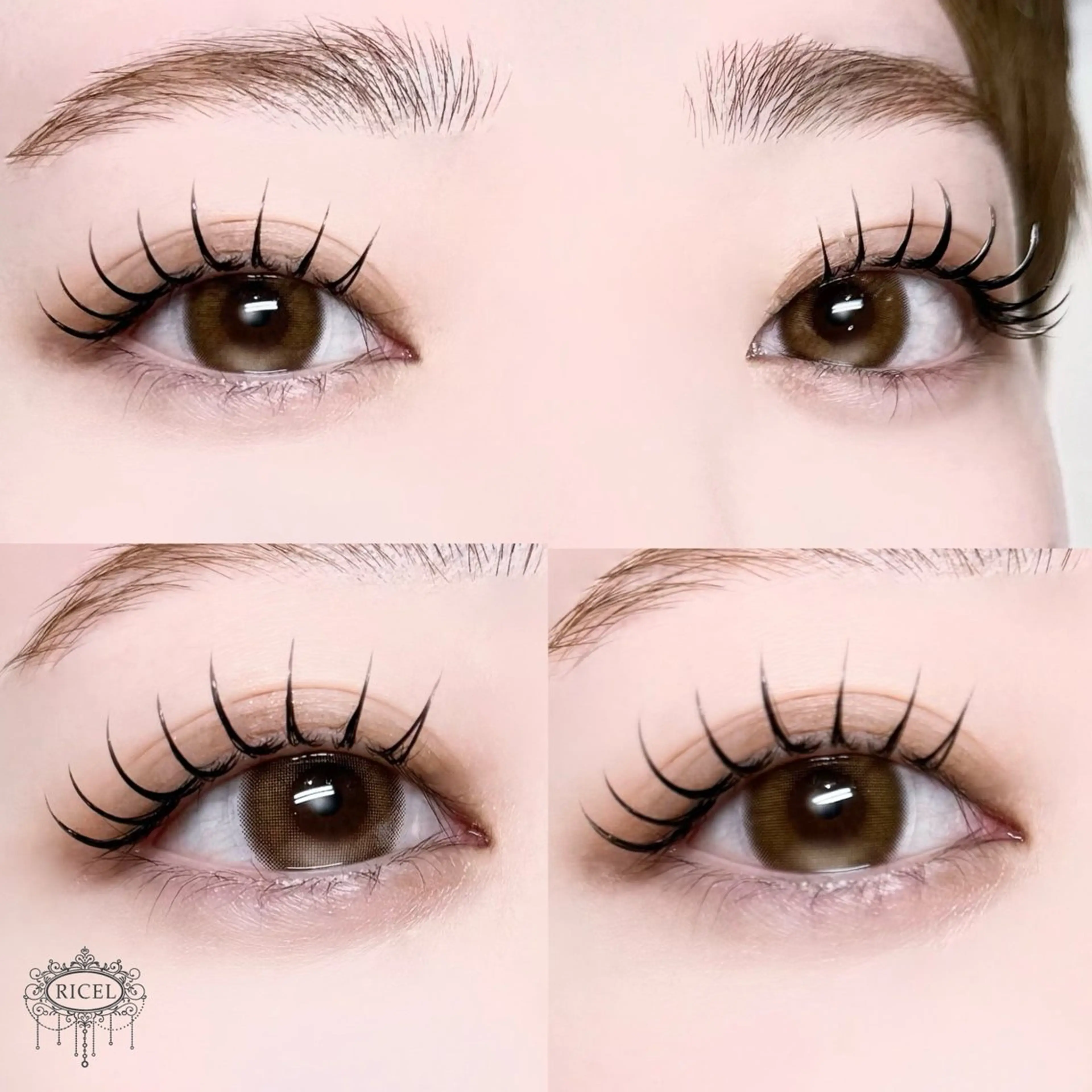 マツエク・マツパ Shiima ꪔ̤̮のマツエク・マツパデザイン