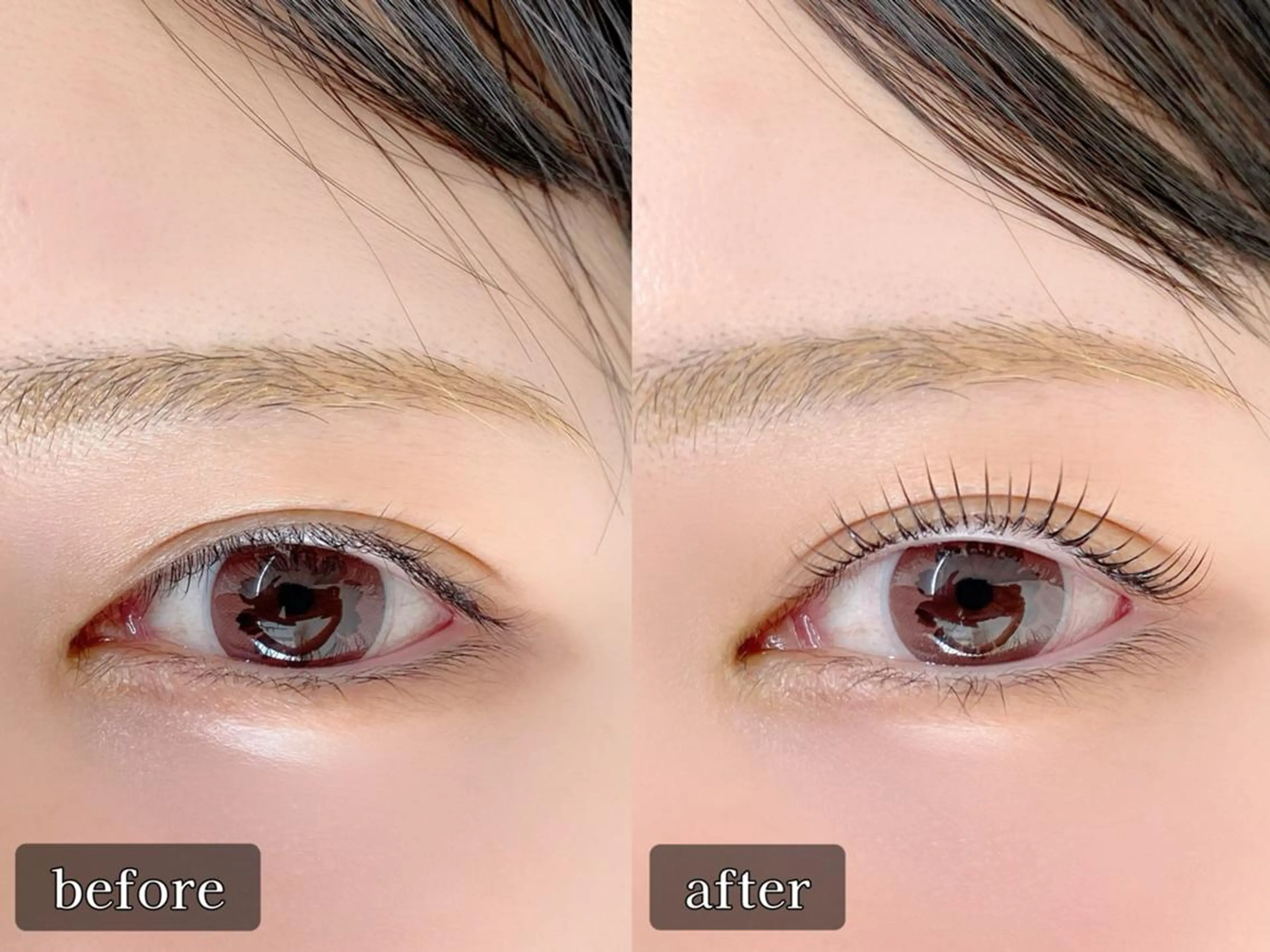 マツエク・マツパ tomte トムテのマツエク・マツパデザイン