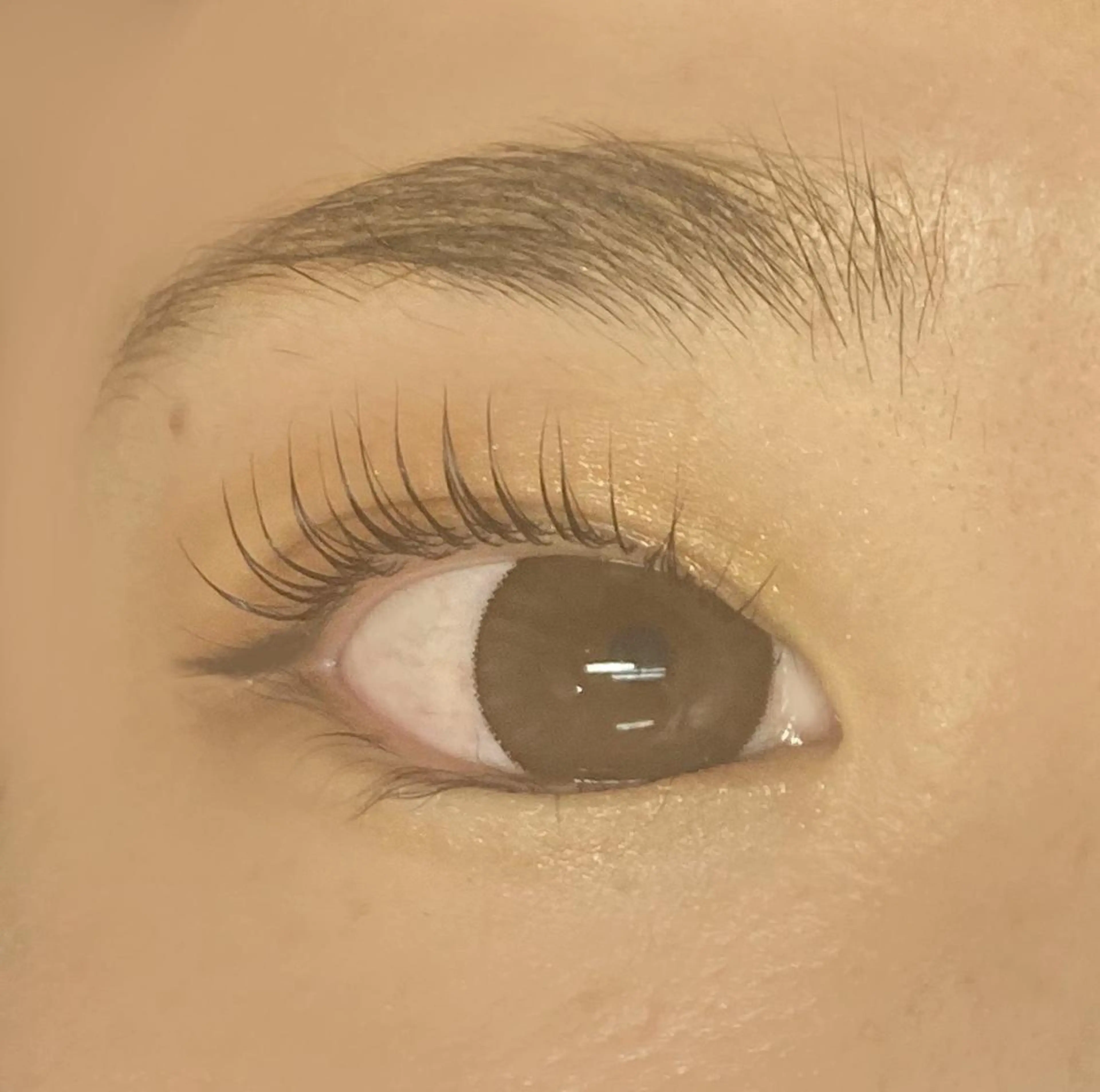 マツエク・マツパ be.perch所属・eye MIHOのマツエク・マツパデザイン