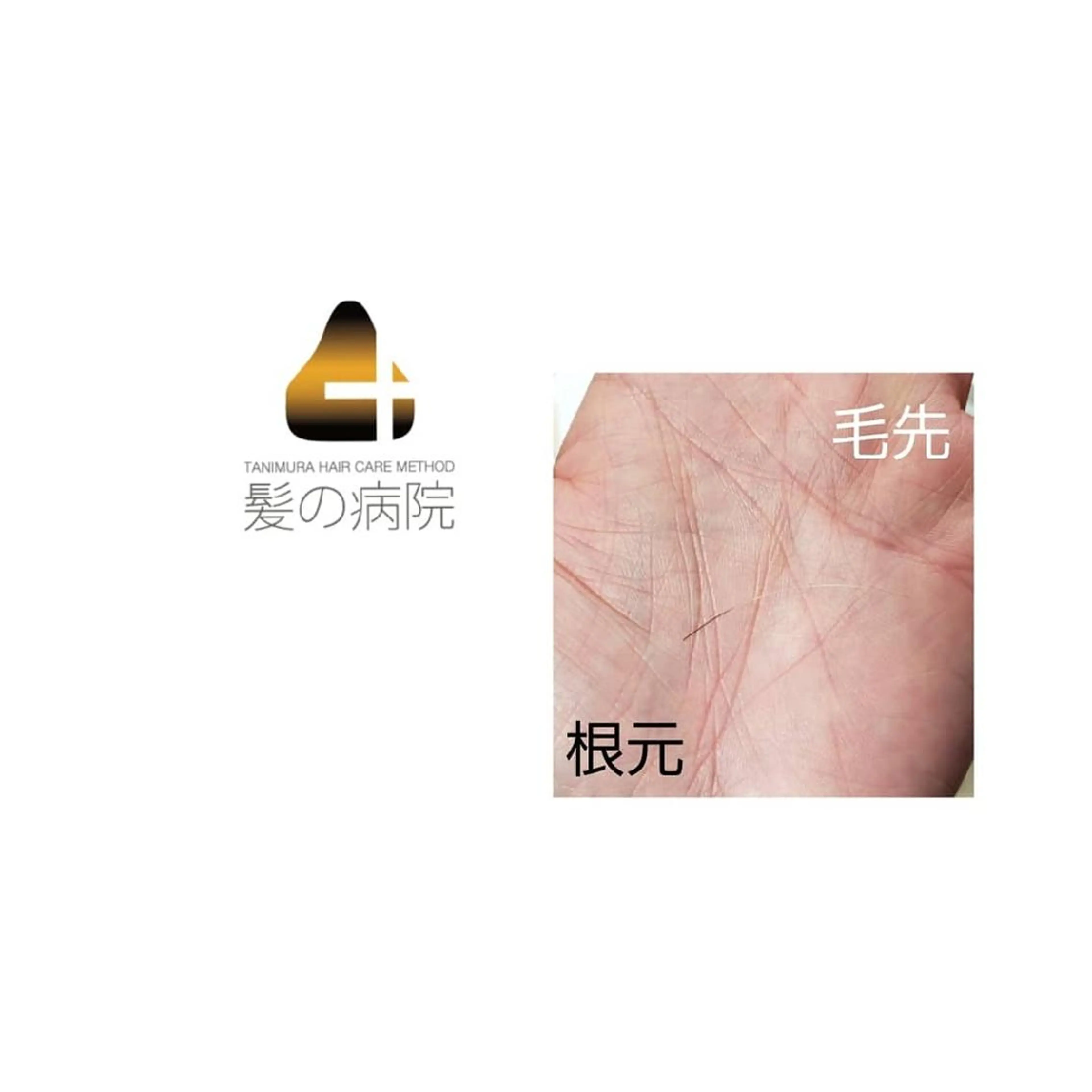 ショート メンズ トリートメント ヘッドスパ 髪の病院ルーミールーム所属・髪の病院  ルーミールームのヘアスタイル