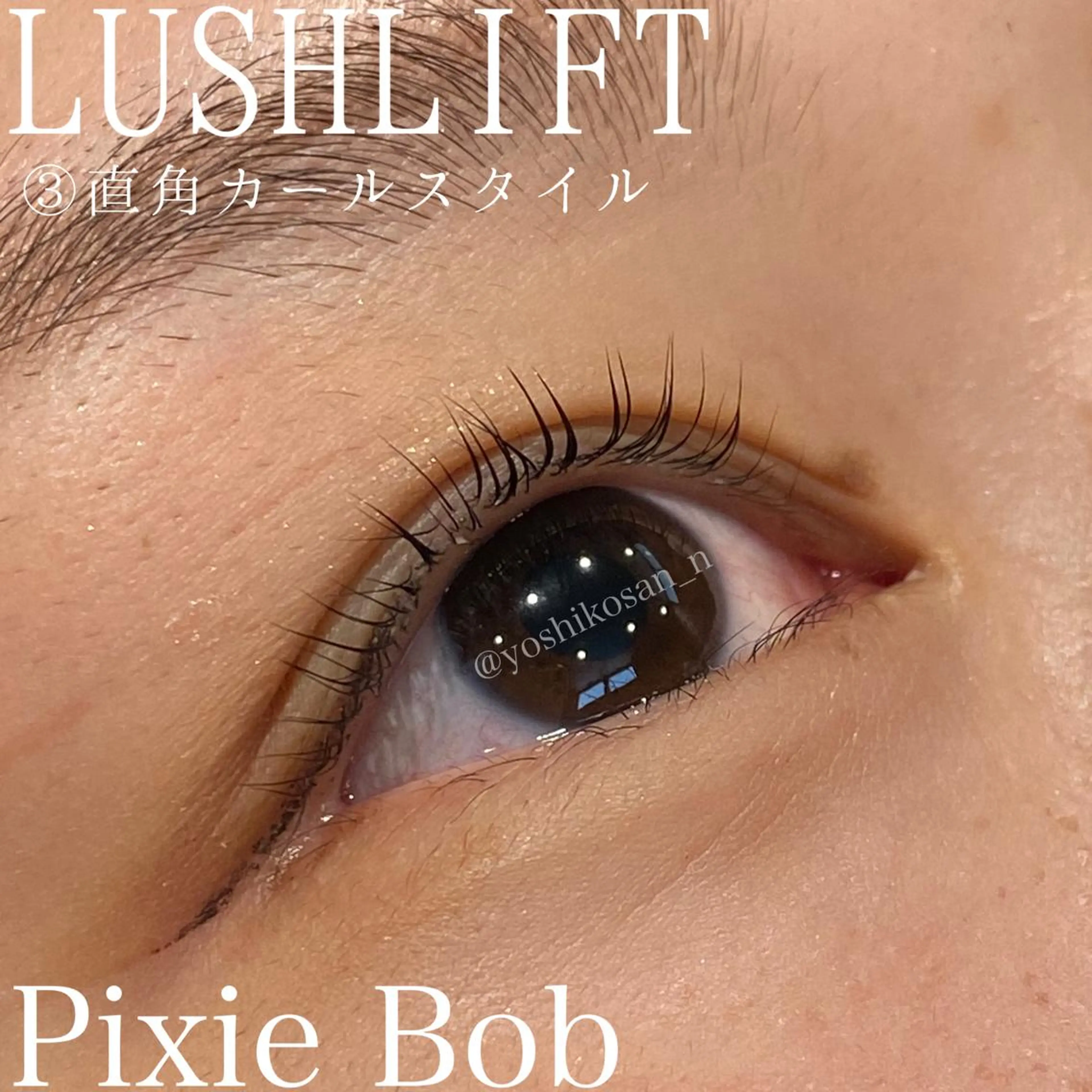 マツエク・マツパ マツパ Pixie Bob 🐈‍⬛　位田のヘアスタイル