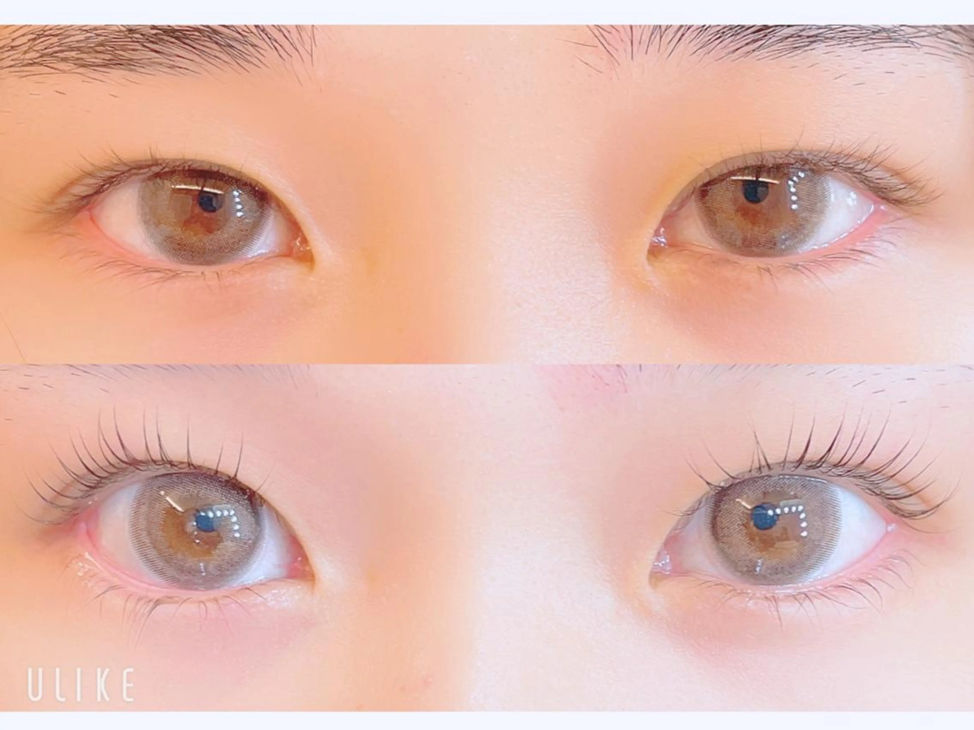 マツエク・マツパ 一重×まつ毛パーマ マツパ Miumoa🌸◦° Yukimi⛄️🖤のマツエク・マツパデザイン