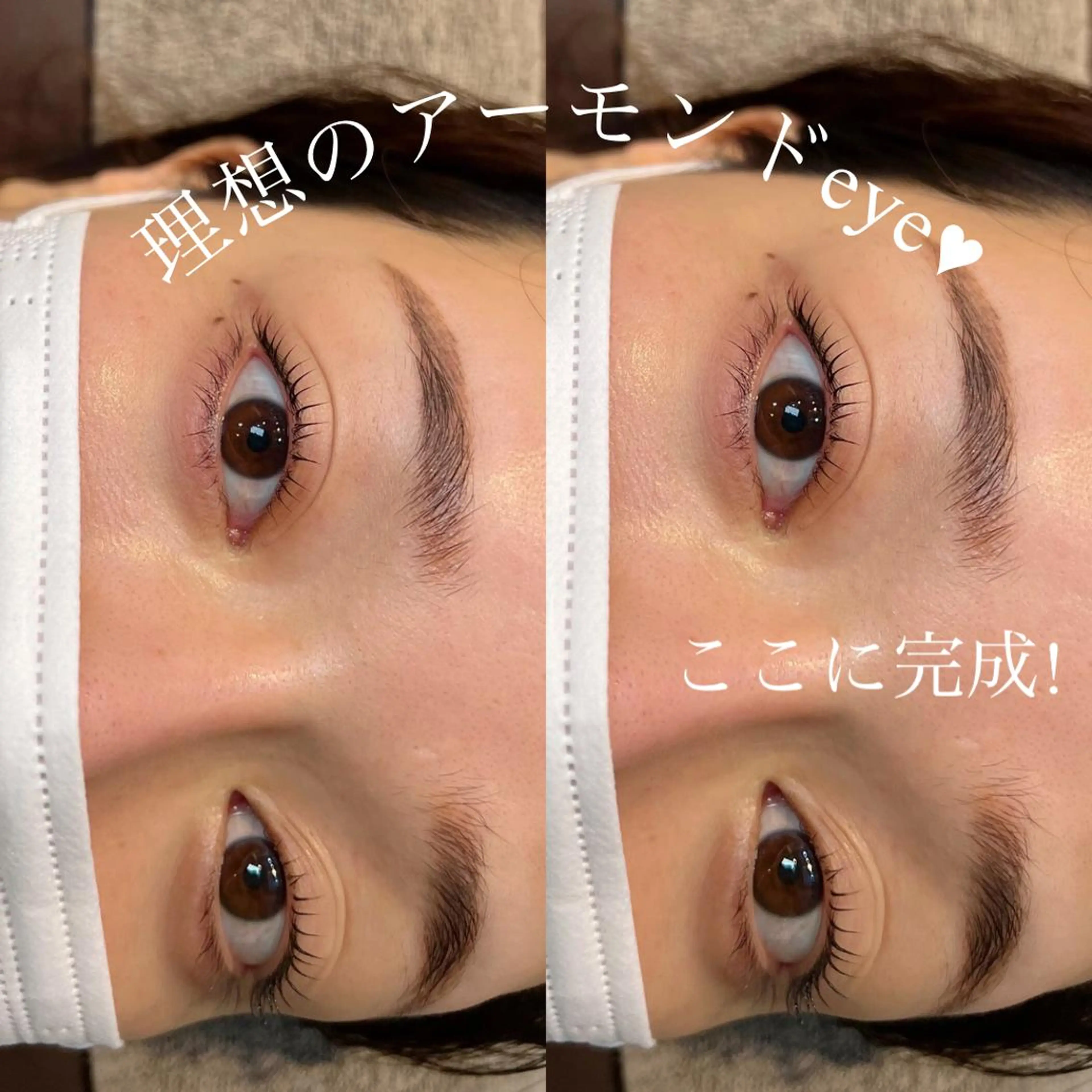 マツエク・マツパ 一重×まつ毛パーマ マツパ 谷本望 /宝塚eyelashの眉毛・アイブロウイメージ