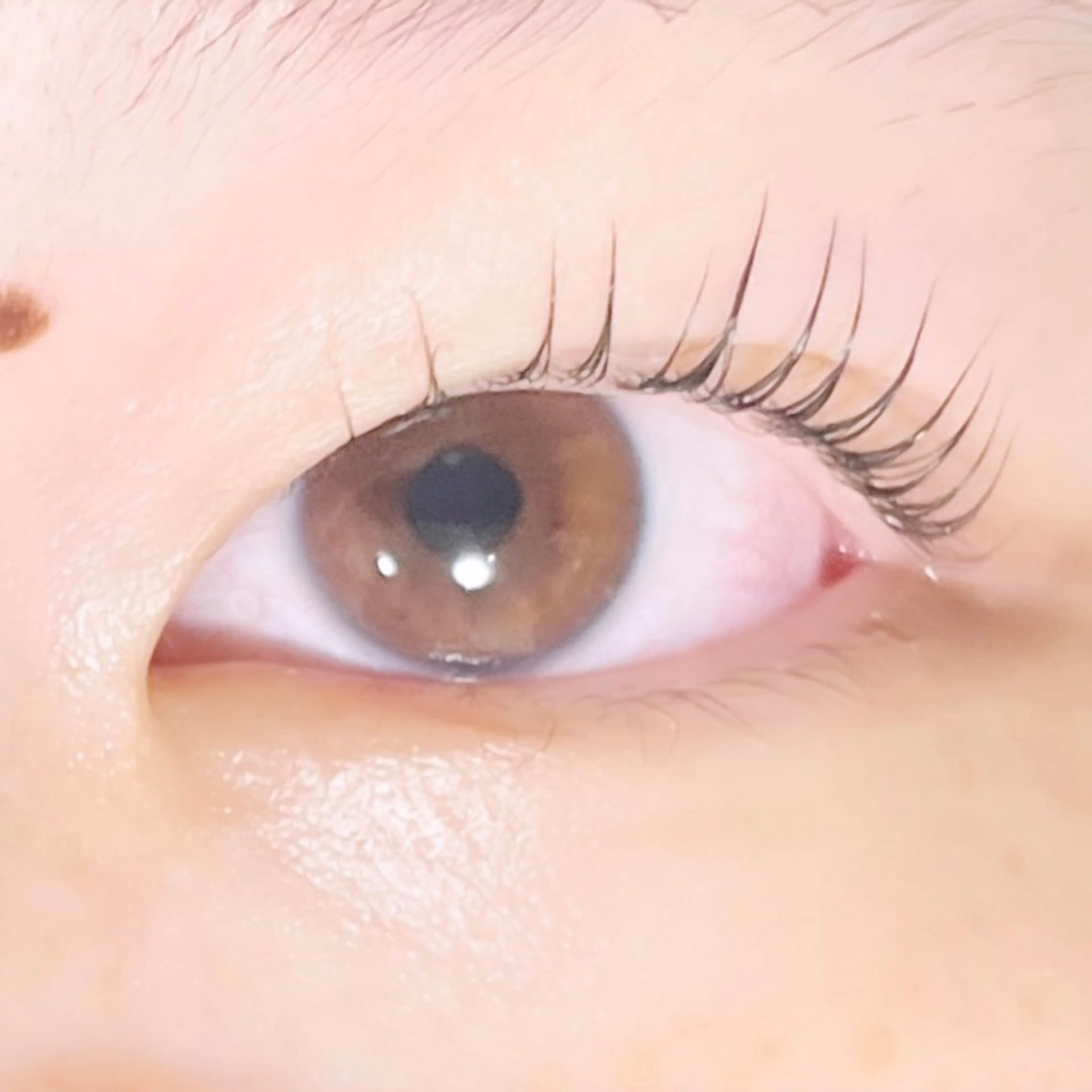 マツエク・マツパ TAKEO🖤 マリーテレジア藤が丘のマツエク・マツパデザイン