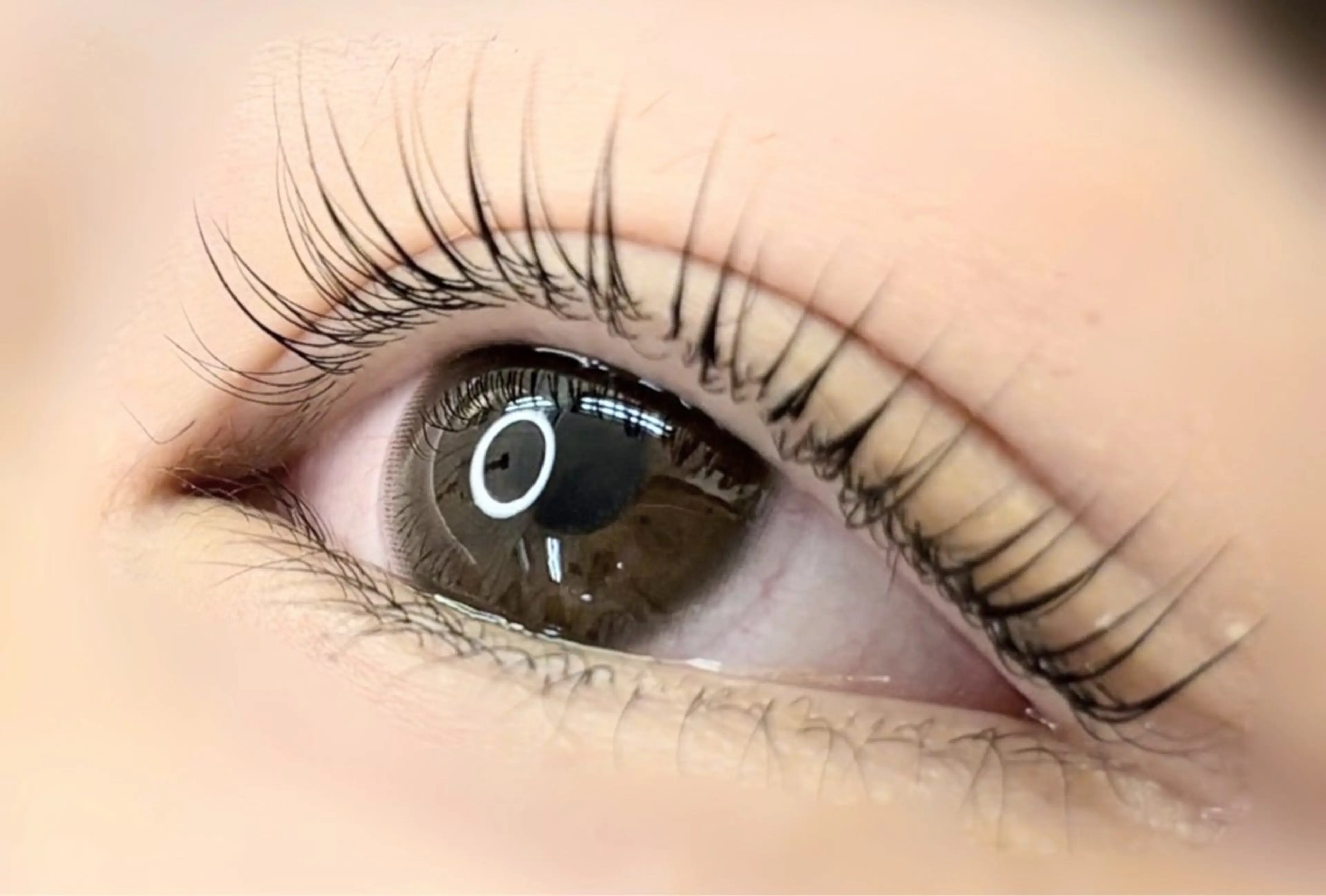 ◆11月限定◆似合わせまつ毛パーマ(コーティング仕上げも◎)の写真