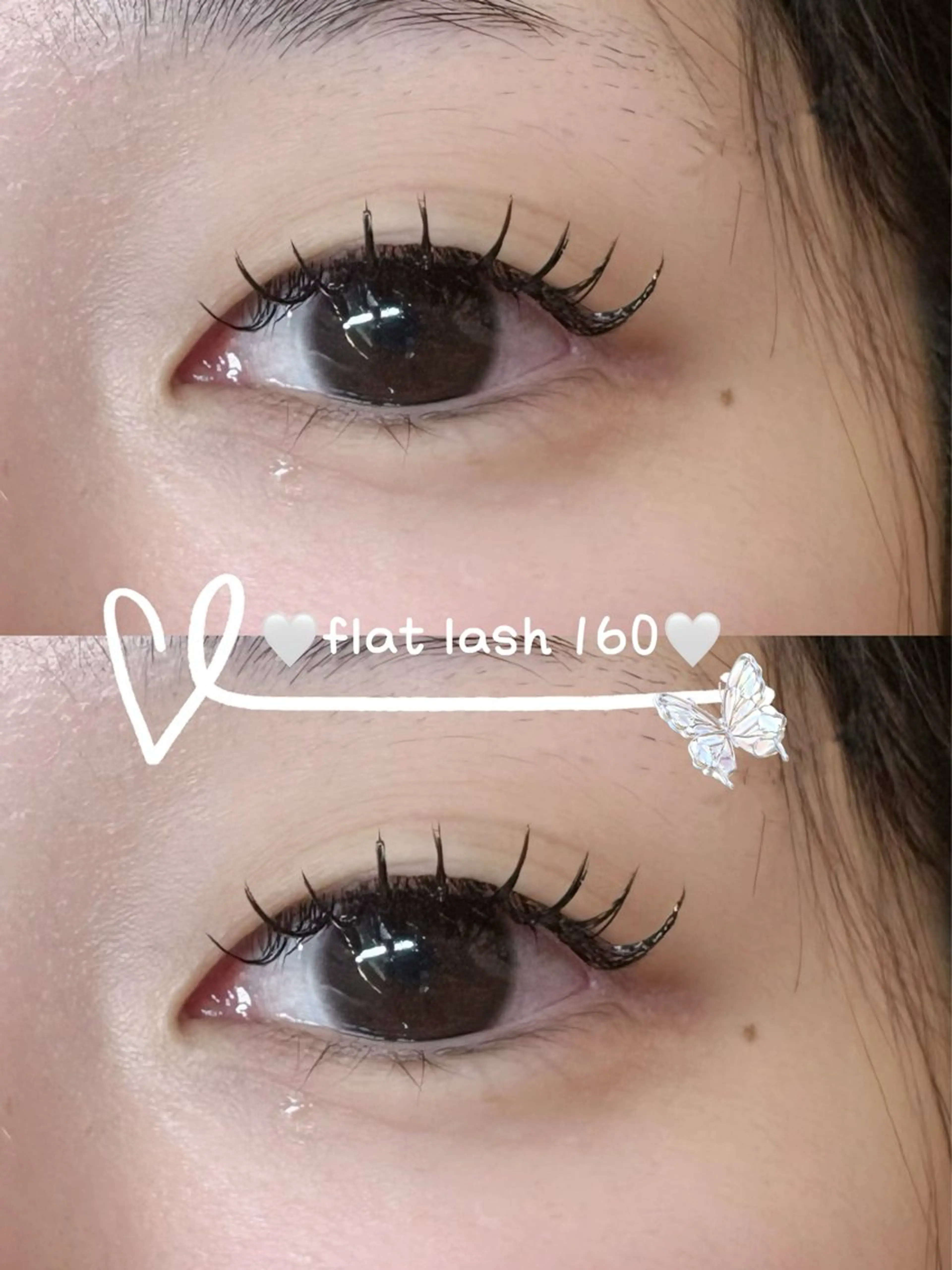 フラットラッシュ160本の写真