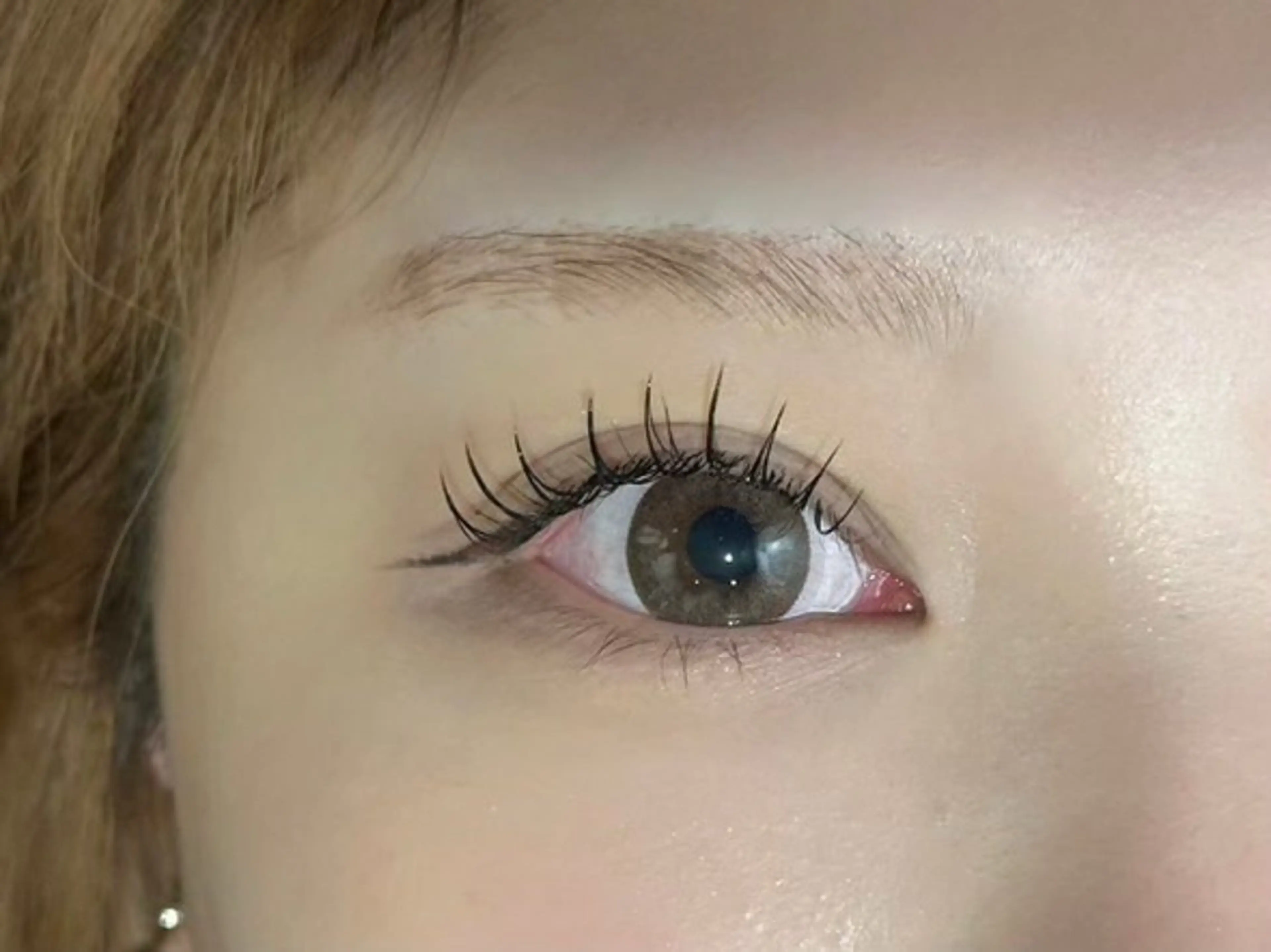 ♡8月限定まつげパーマモデル募集♡0円モデル募集✨の写真