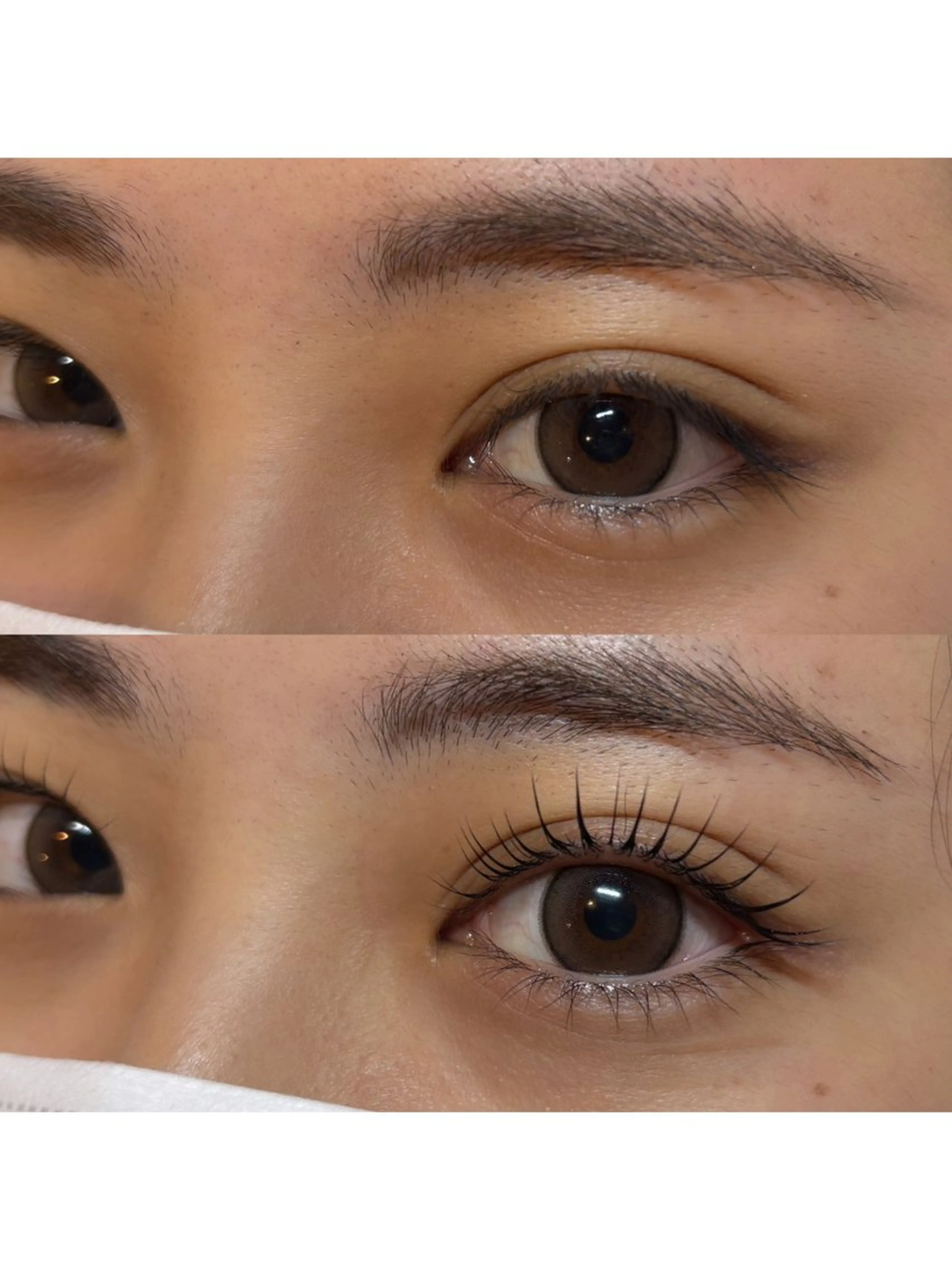 マツエク・マツパ Loa-ロア-所属・Loa -ﾛｱ-のマツエク・マツパデザイン