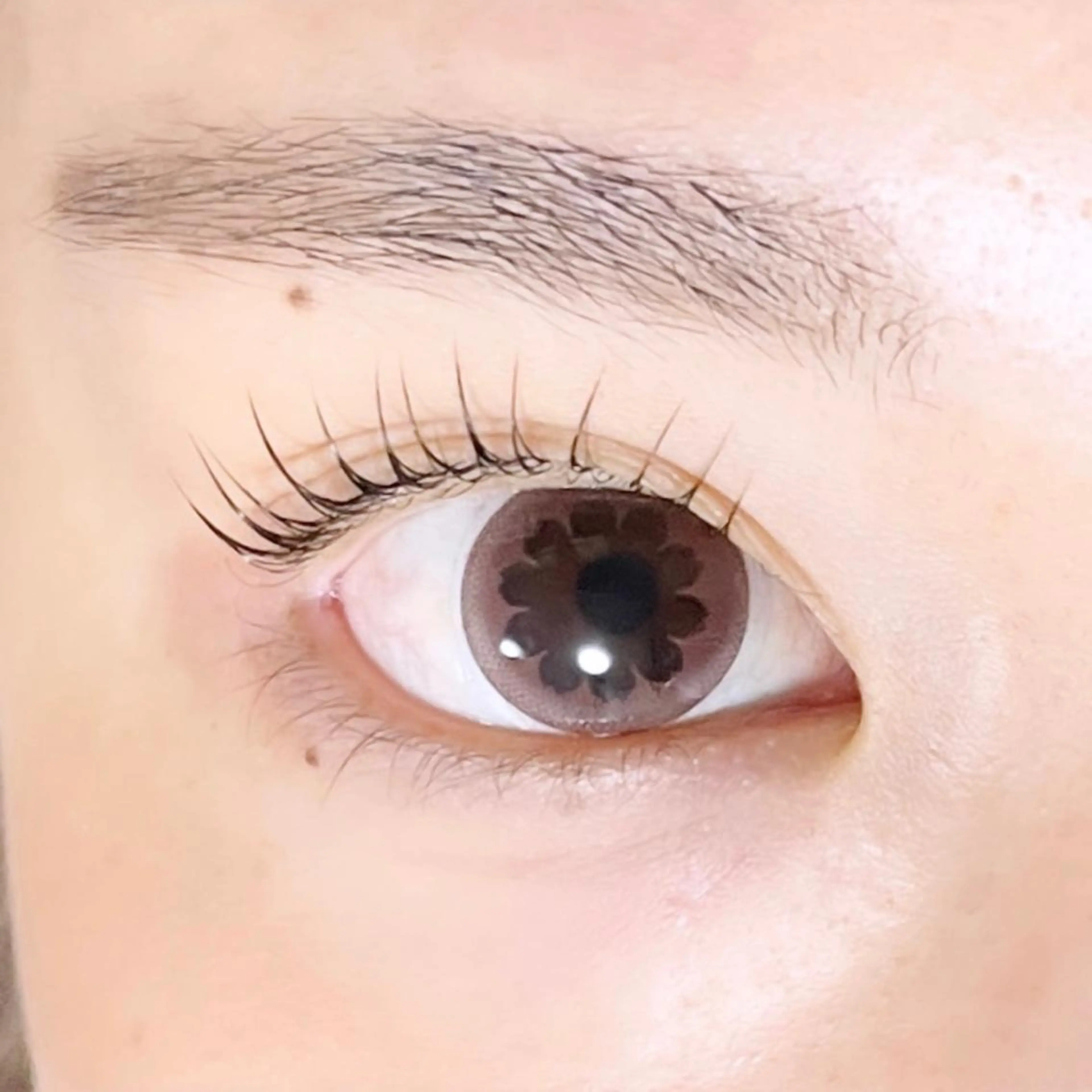 マツエク・マツパ TAKEO🖤 マリーテレジア藤が丘のマツエク・マツパデザイン