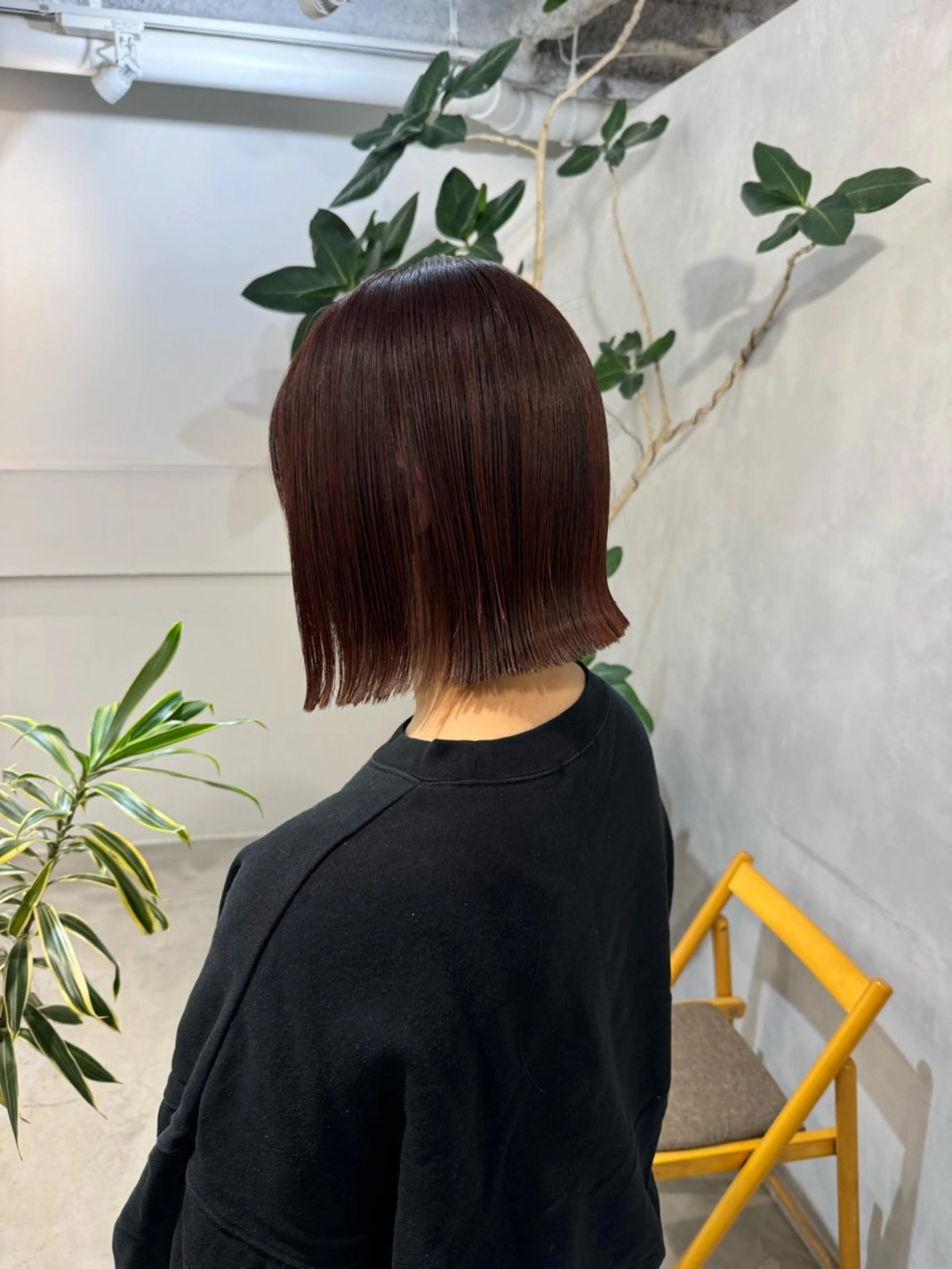 ミディアム カット ヘアカラー トリートメント 顔周りcut・ご相談 ＝新宿しずく🇰🇷のヘアスタイル