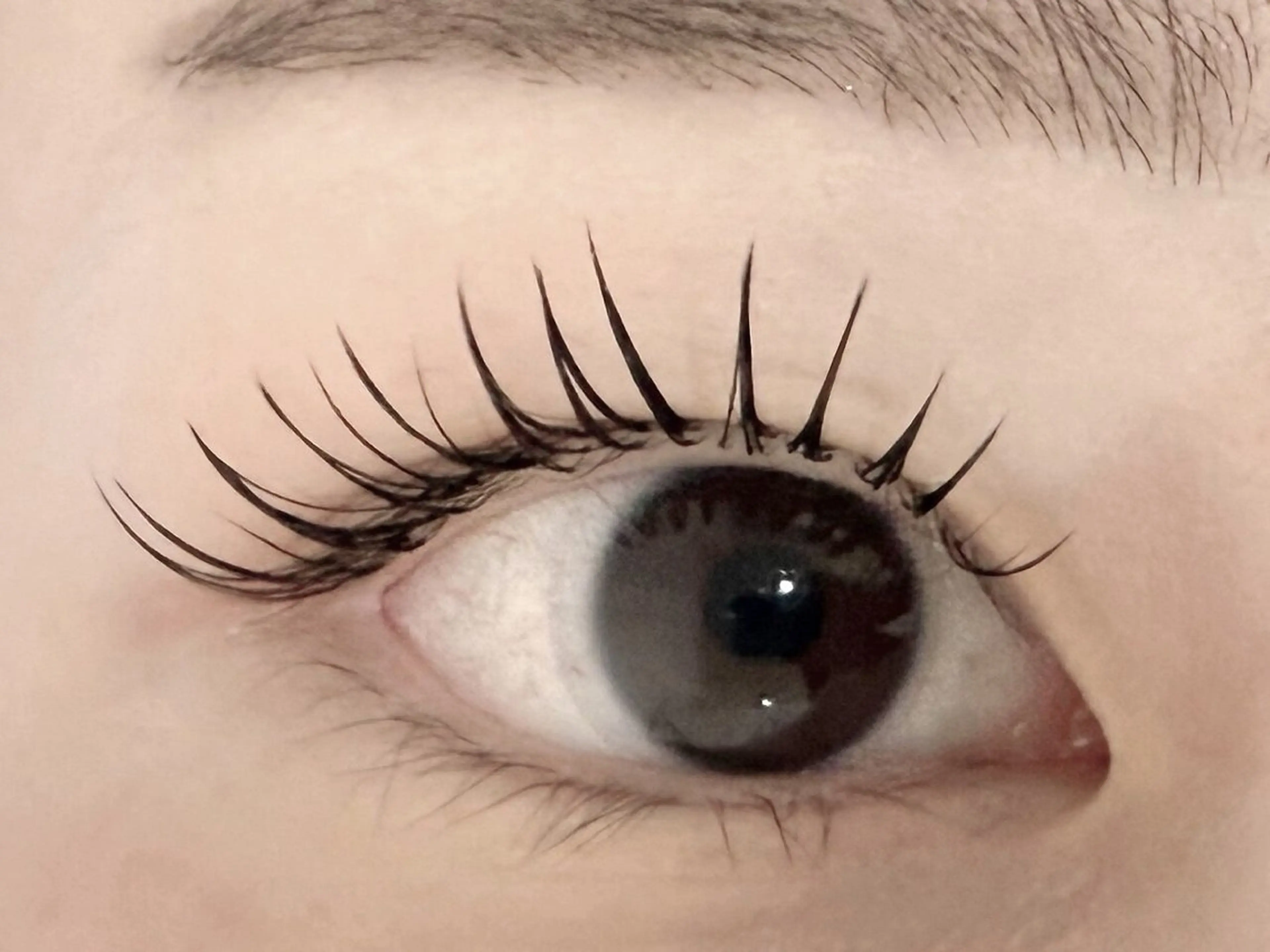 フラットラッシュ✨100本💕の写真