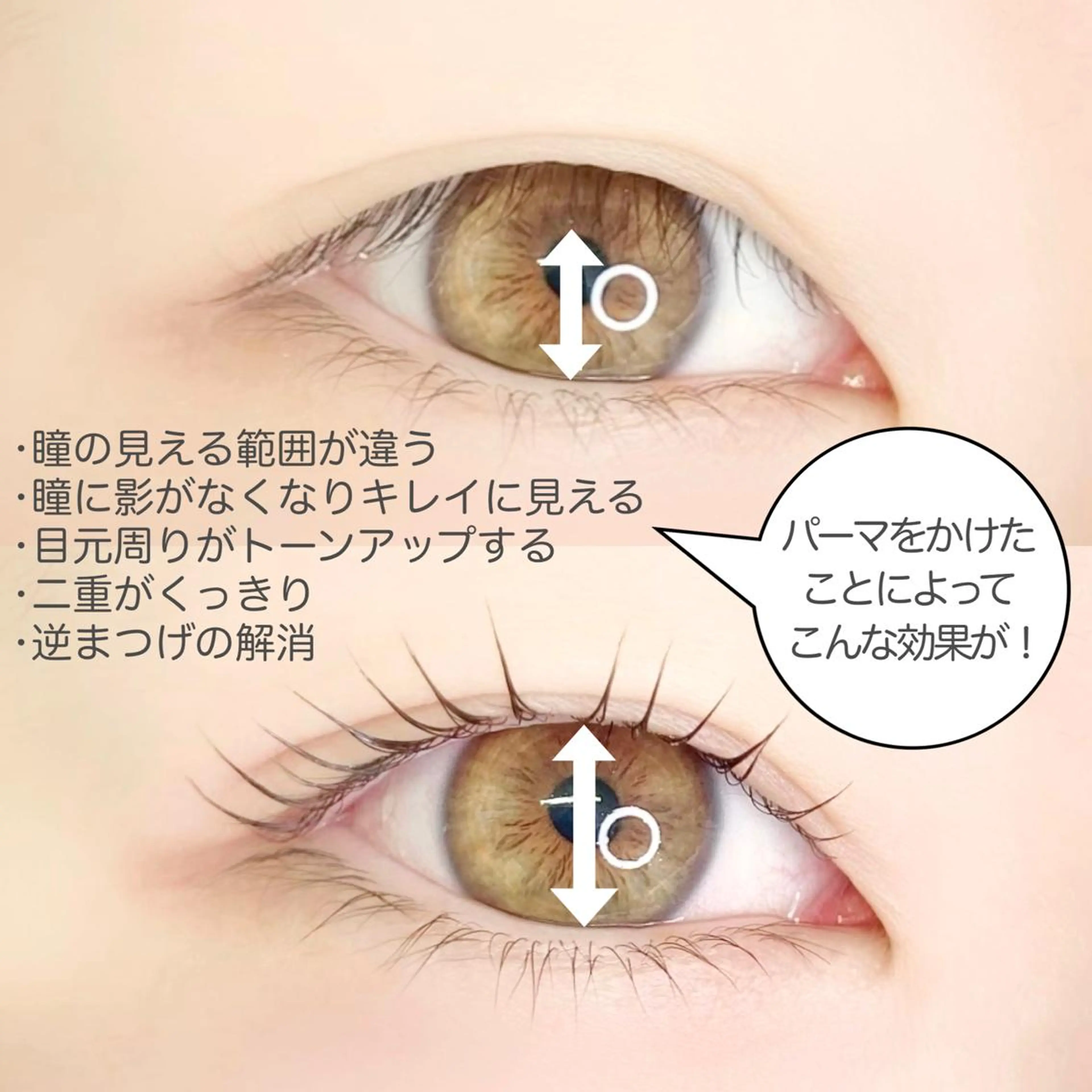 マツエク・マツパ パリジェンヌラッシュリフト eyelash  salon  nuit【ニュイ】所属・nuit 【ニュイ】 大宮 /　yucaのマツエク・マツパデザイン