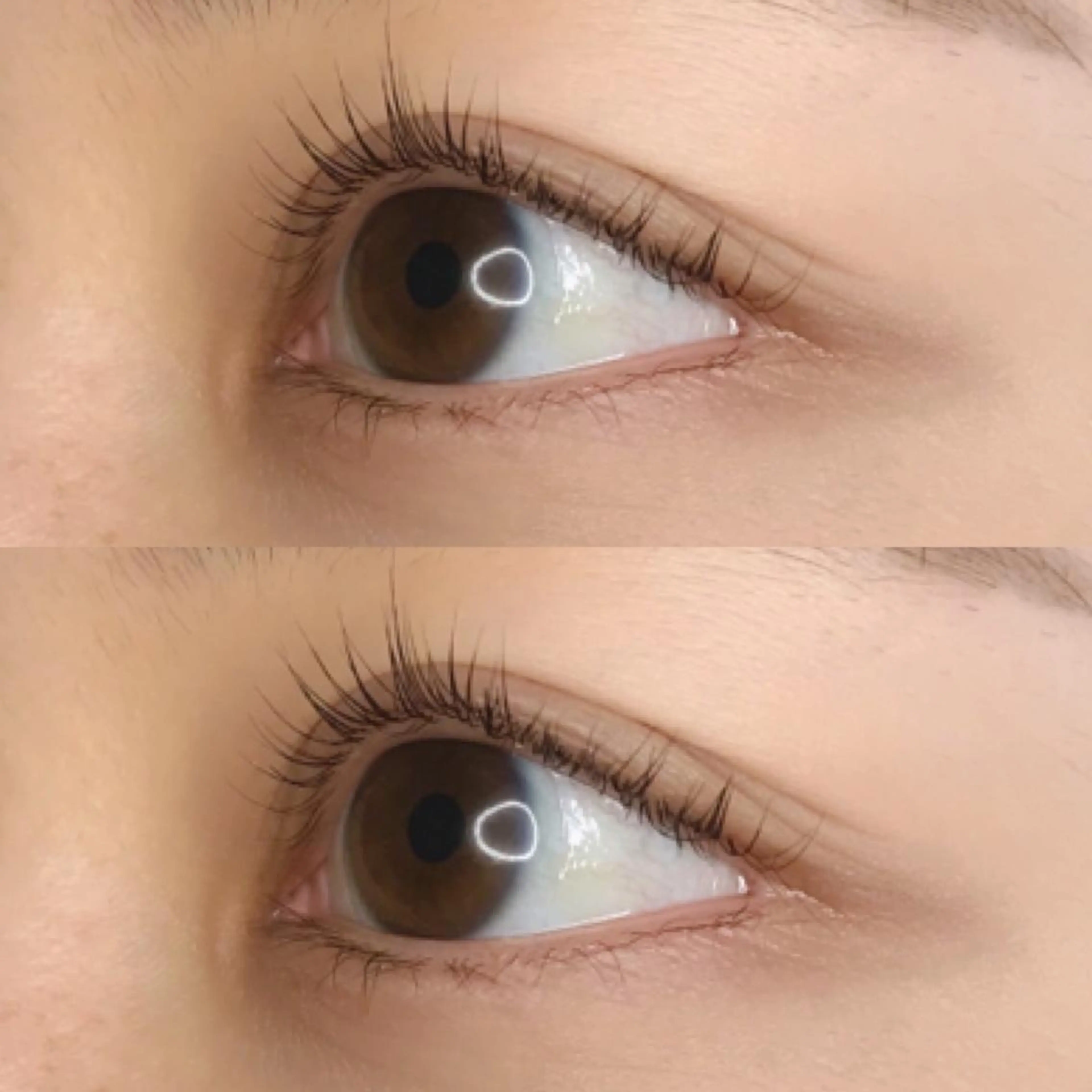 マツエク・マツパ マツパ 《eyelash ｉｉｔｅ》森のマツエク・マツパデザイン