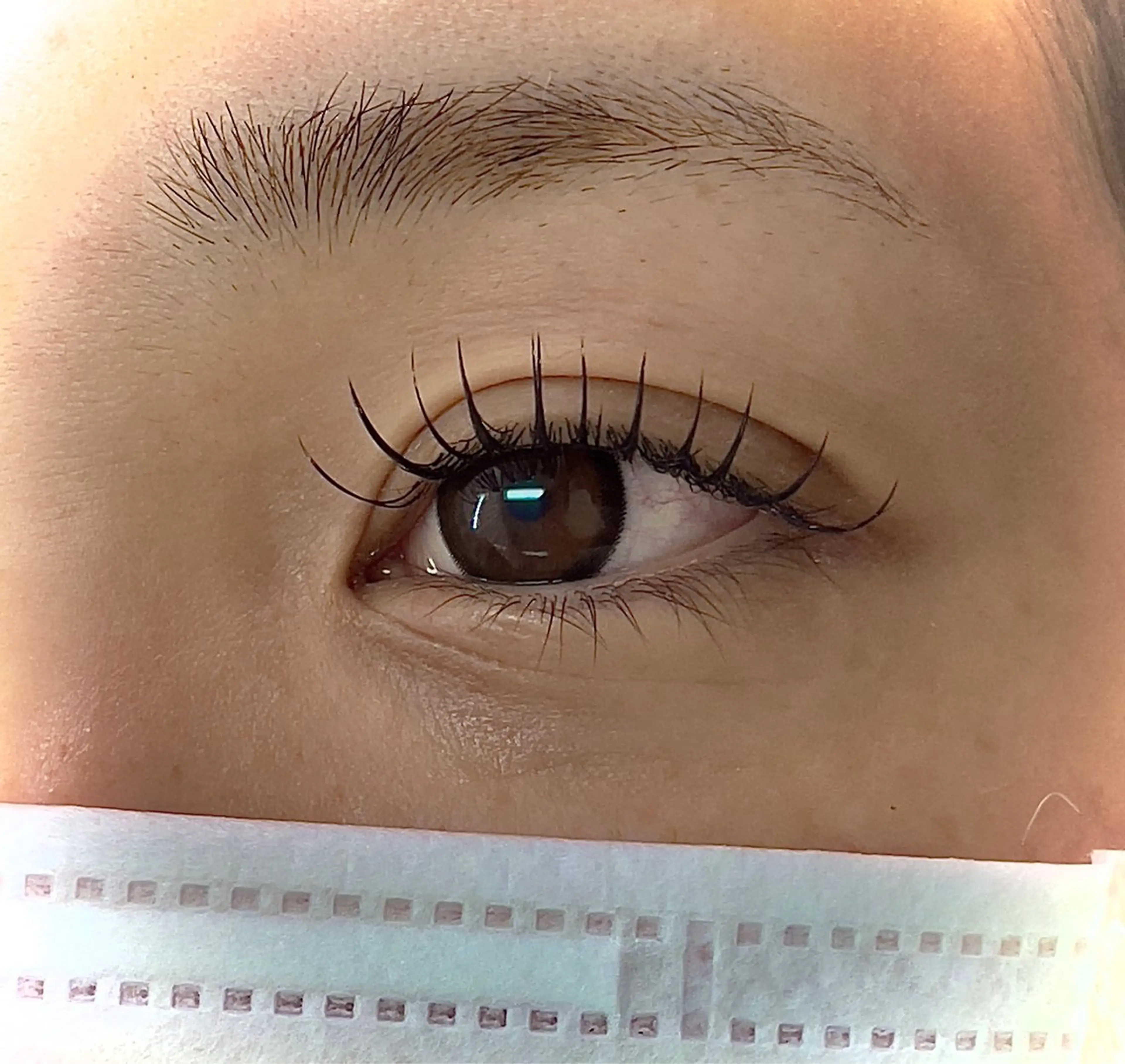 マツエク・マツパ Eyelash & Nail 福岡天神　MAXKELLY所属・オ ノのマツエク・マツパデザイン
