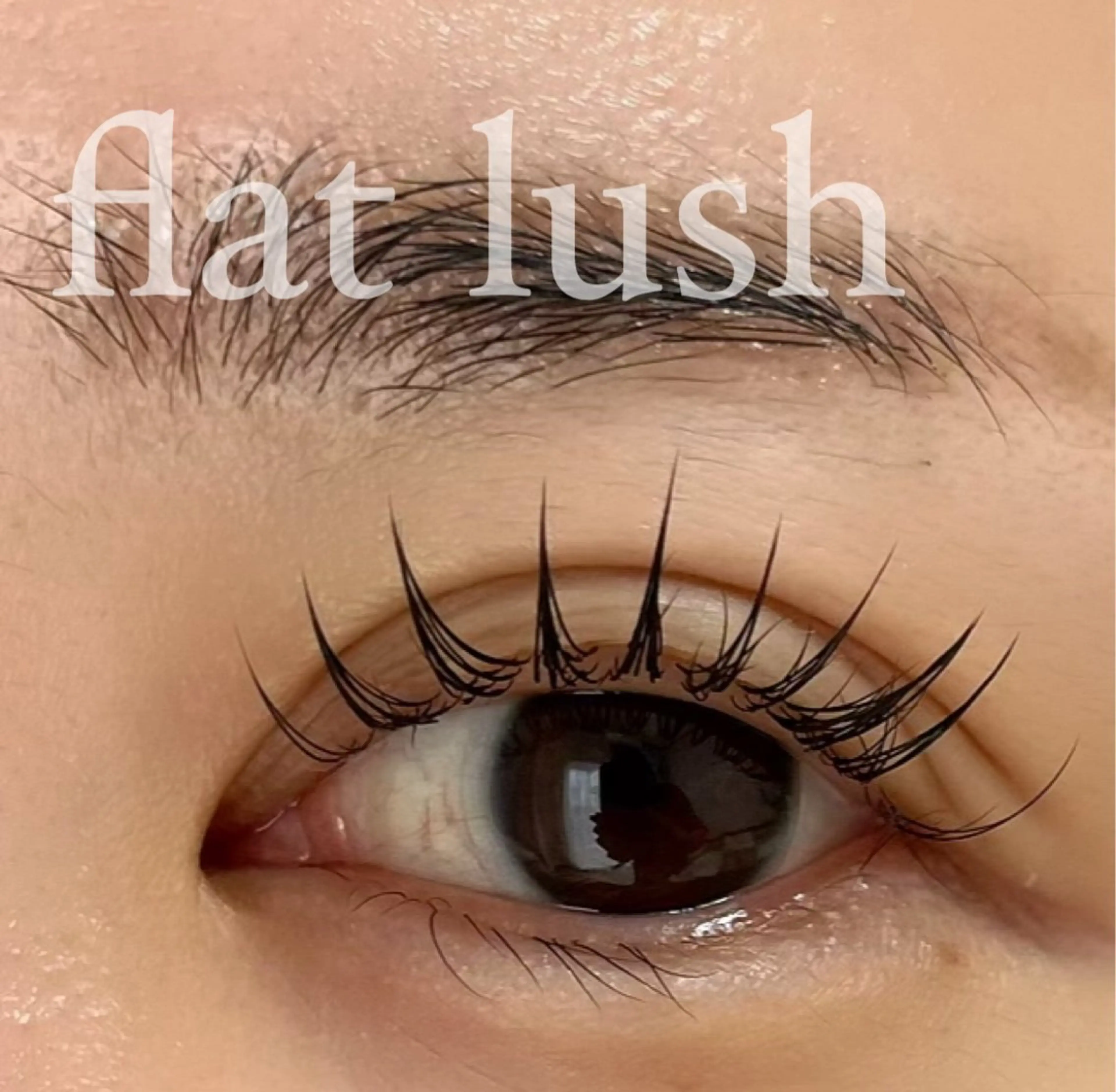 マツエク・マツパ マツエク Moana所属・eyelash Moanaの眉毛・アイブロウイメージ