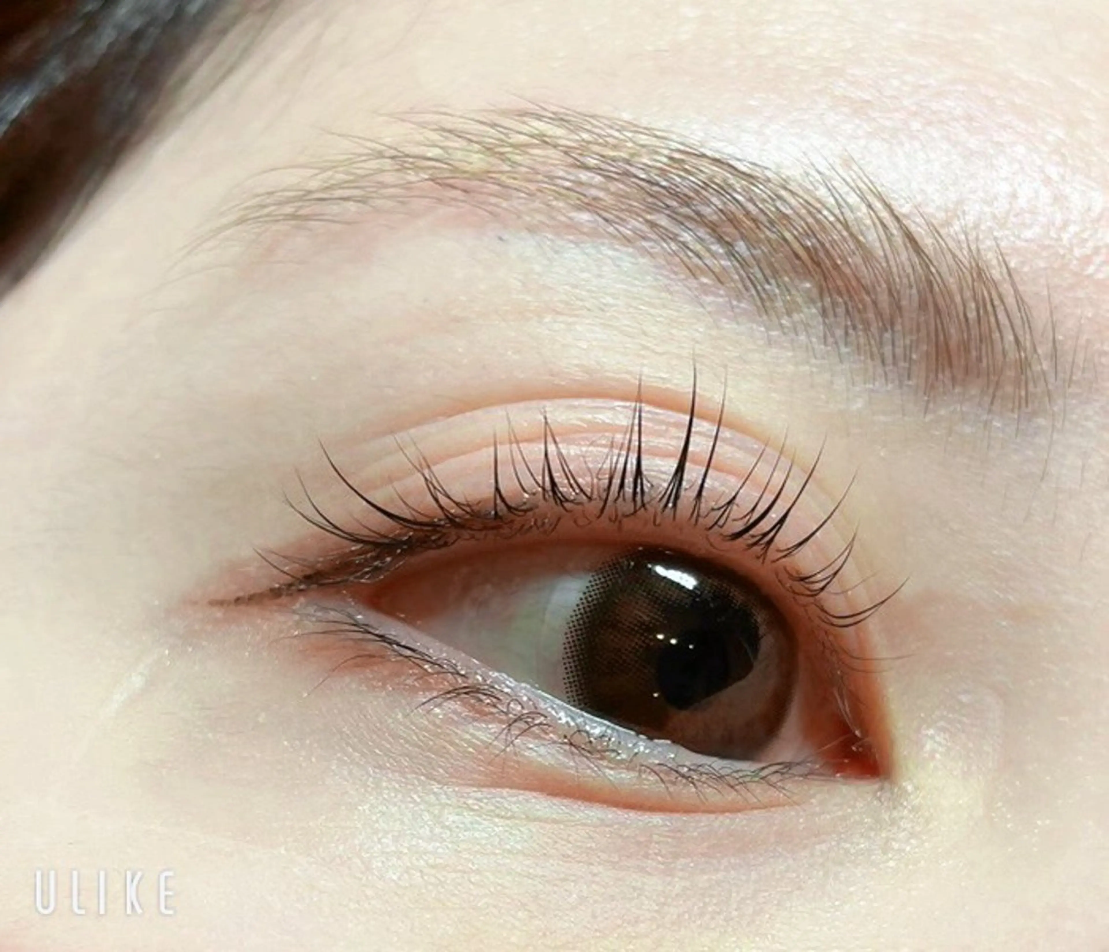 マツエク・マツパ MIU nail＆eyeのマツエク・マツパデザイン