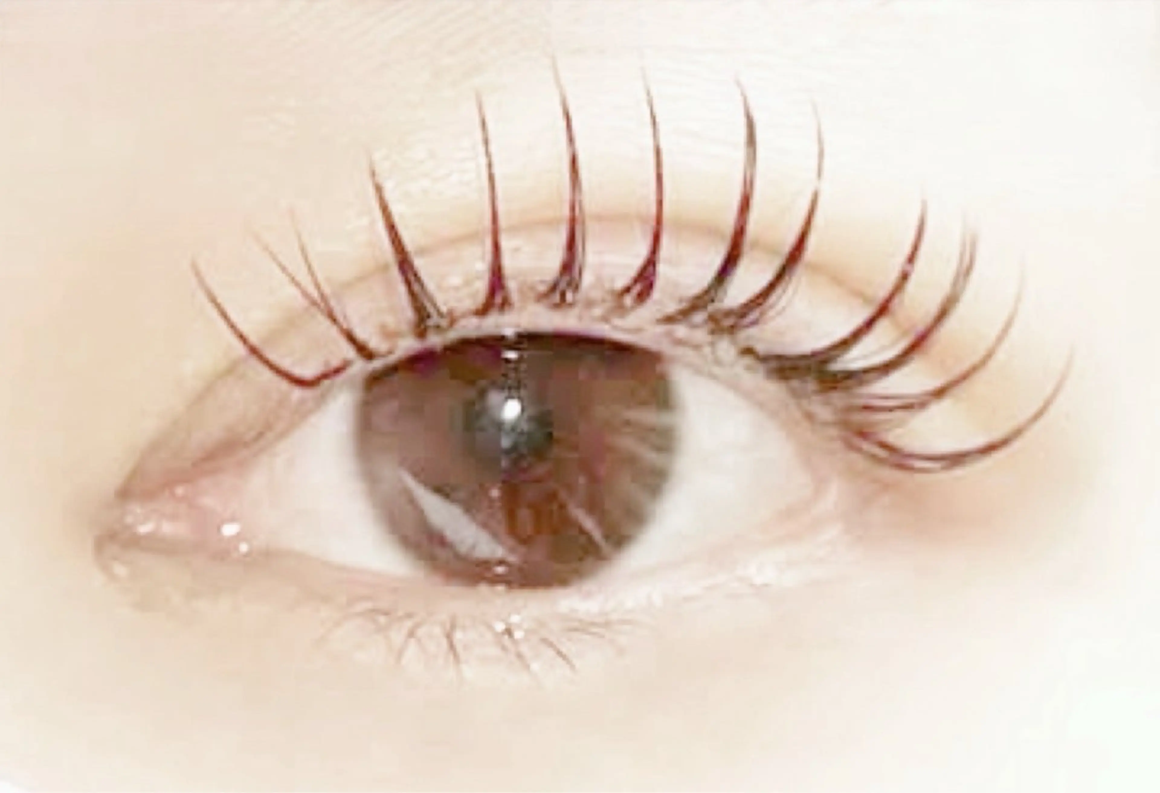 マツエク・マツパ マツパ lepo 川越 arisaのマツエク・マツパデザイン