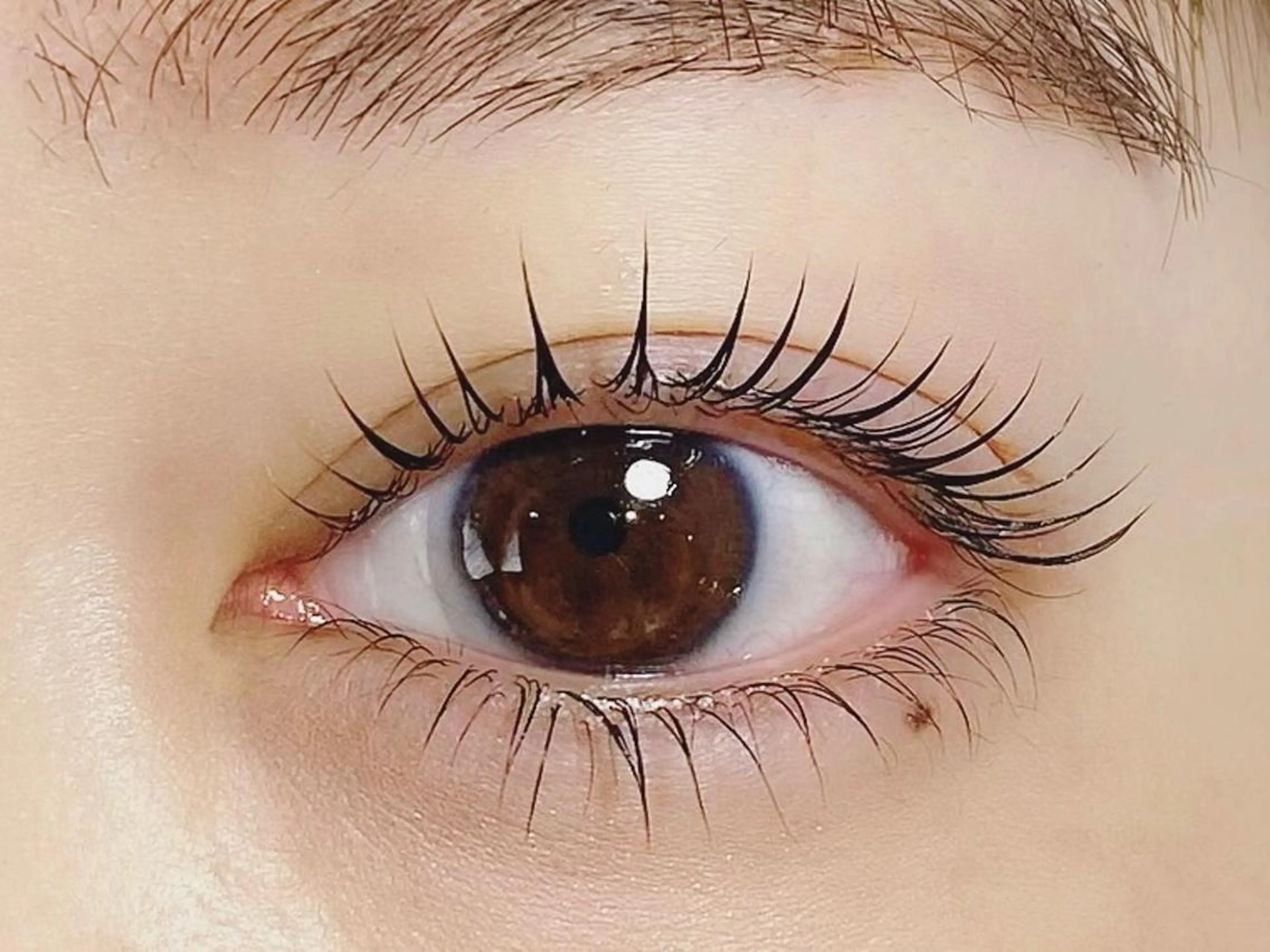 🧸上まつげパーマ🧸　仕上げのトリートメント付きの写真