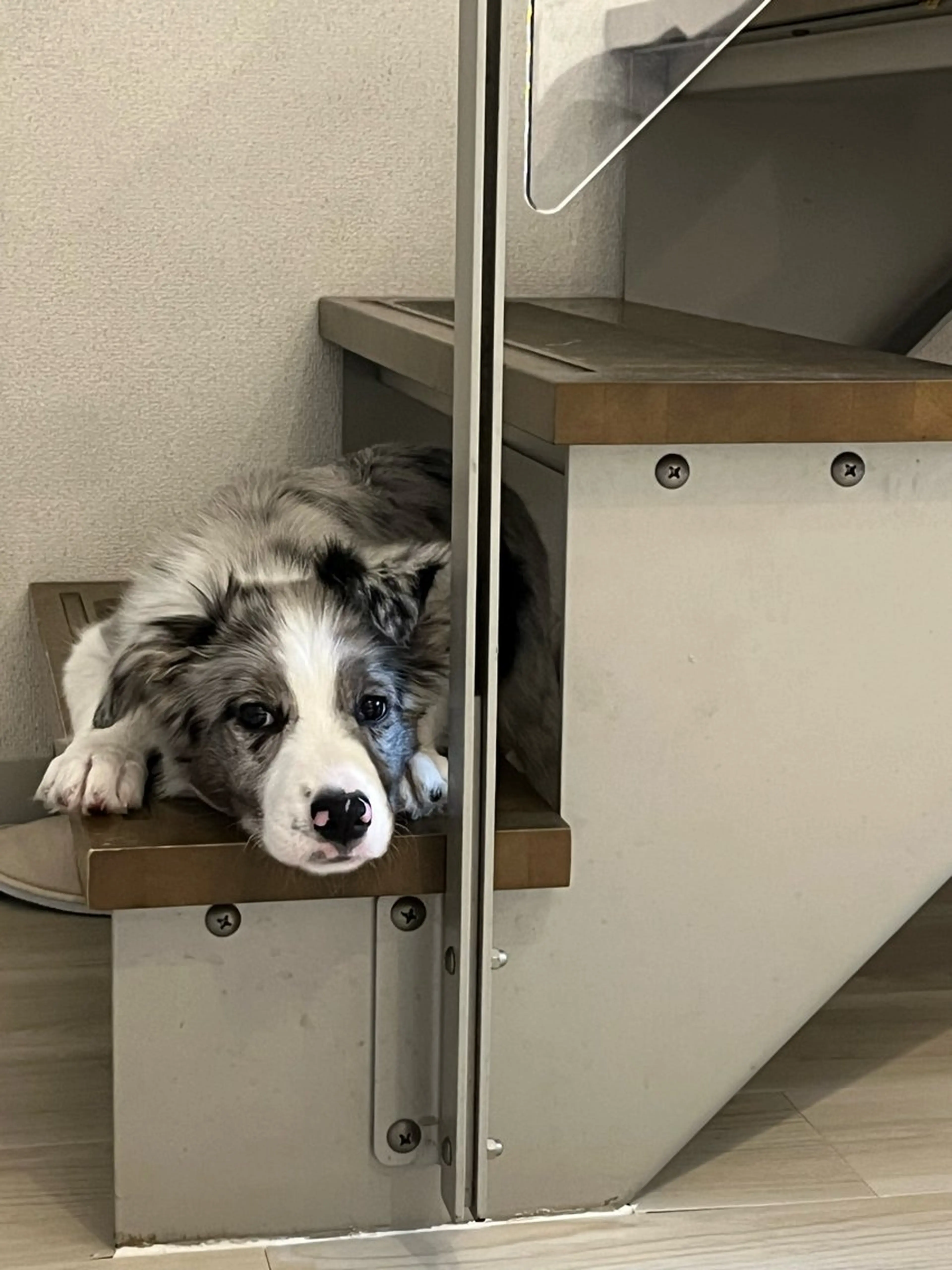 ネイル ハンドネイル Lélia nail Himariのネイルデザイン