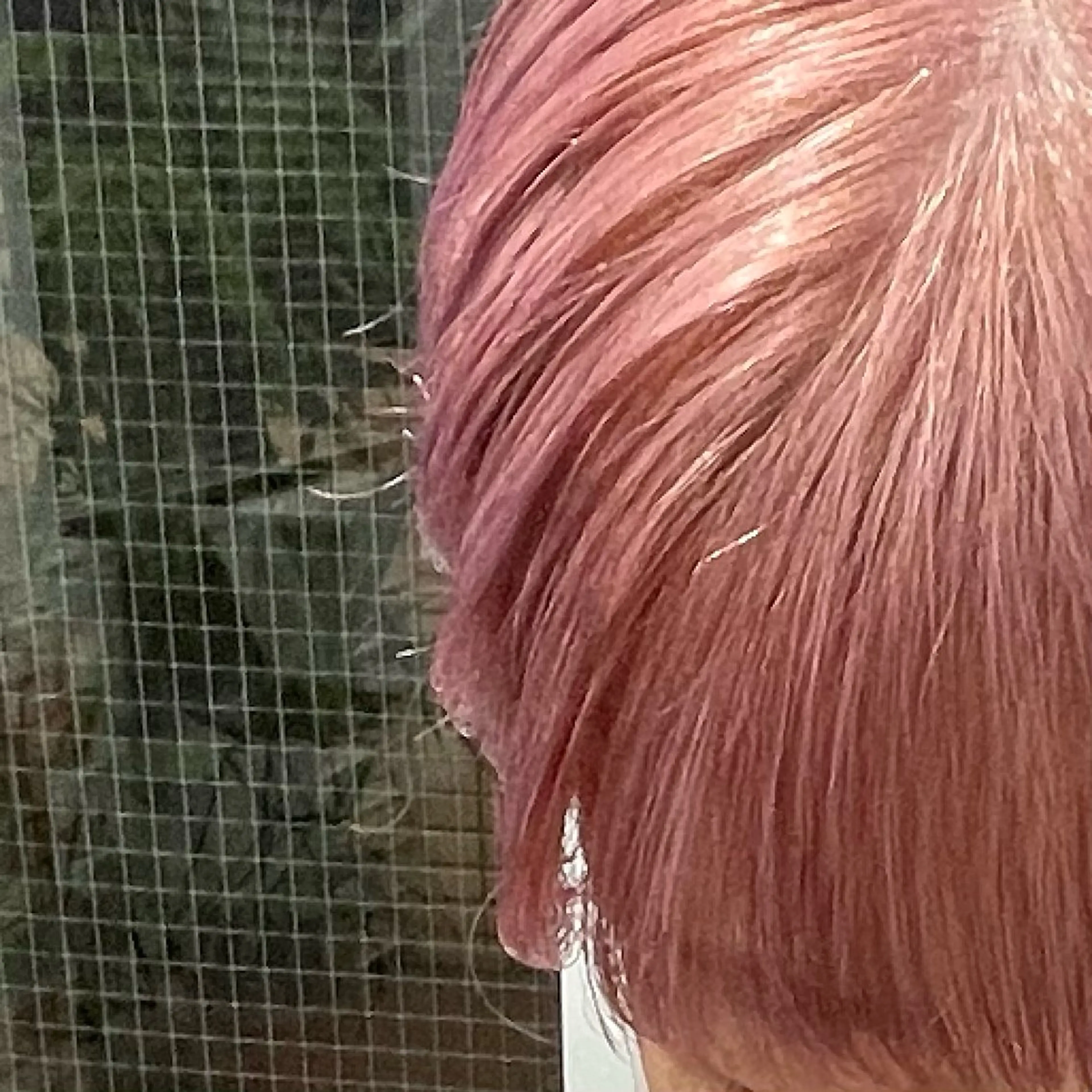 ショート カラー IwAsh  大和駅店所属・shiho .のヘアスタイル