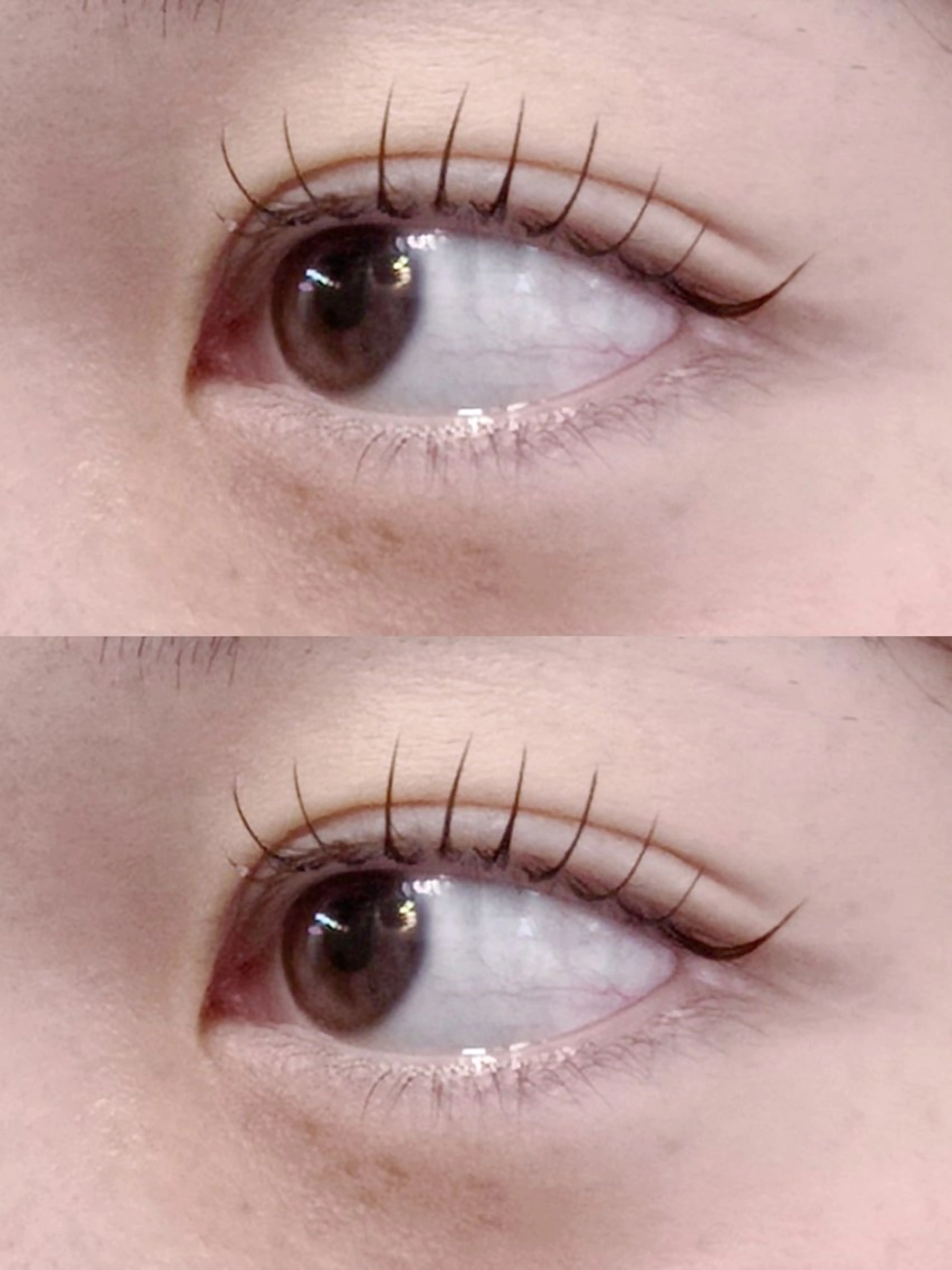 ❄【シングルラッシュ★OPEN記念価格】マツエク100〜120本まで❄の写真