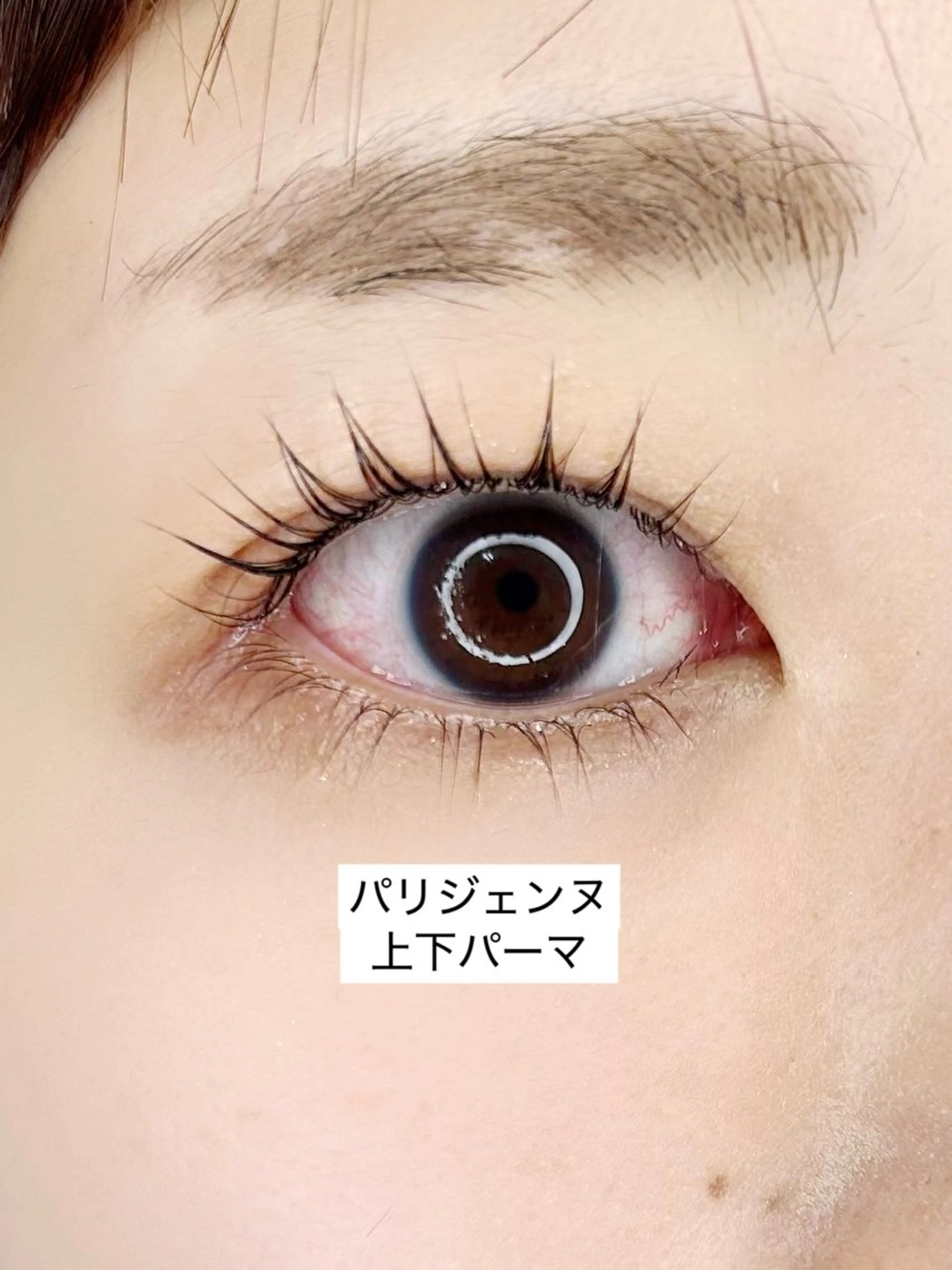 7月限定🌟上下まつ毛パーマ［パリジェンヌ］（研修メニュー）の写真