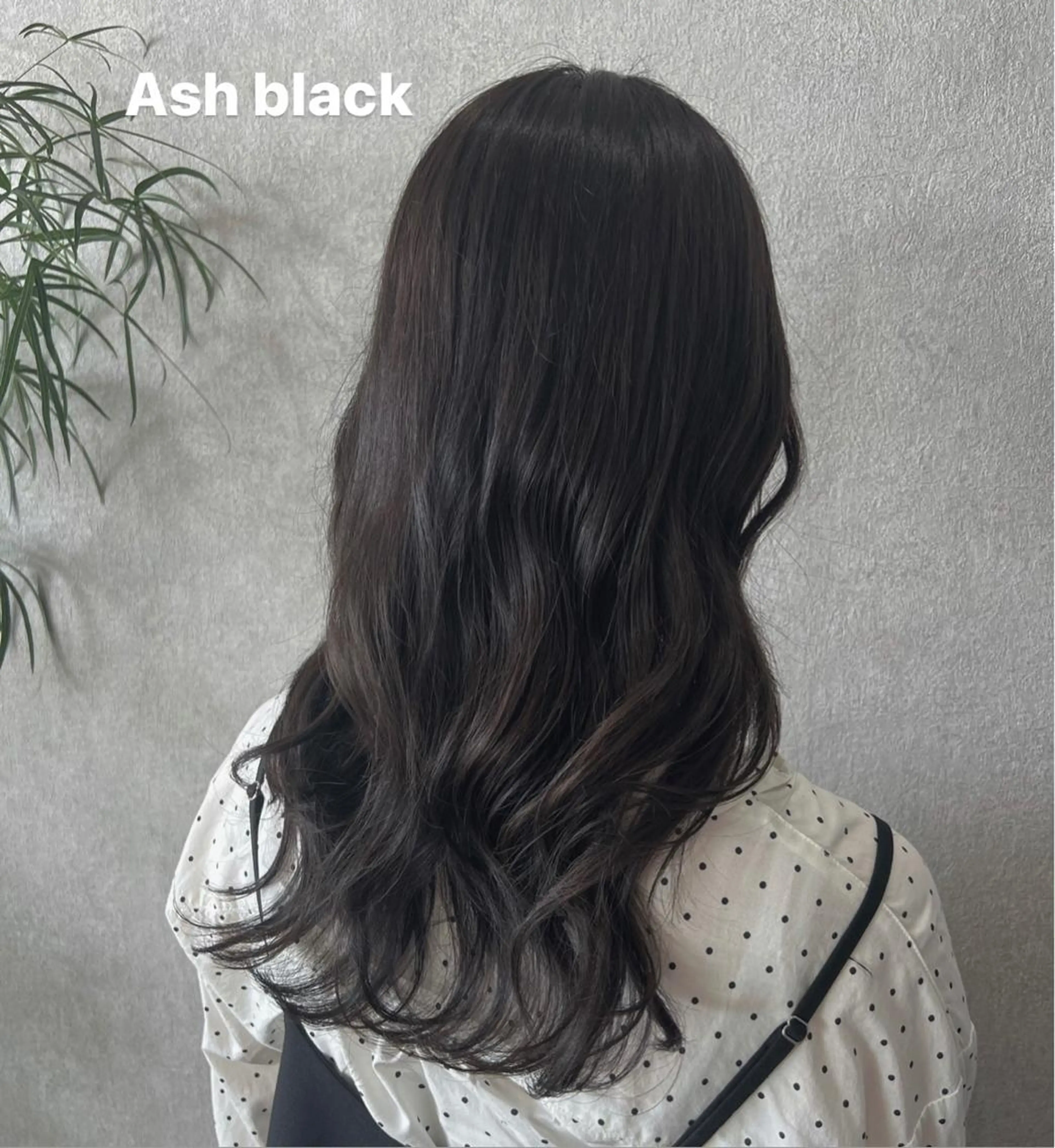 ミディアム カラー パーマ ヘアアレンジ メンズ キッズ アイブロウ ヘアカラー Huu☁️ 池野里衣のヘアスタイル