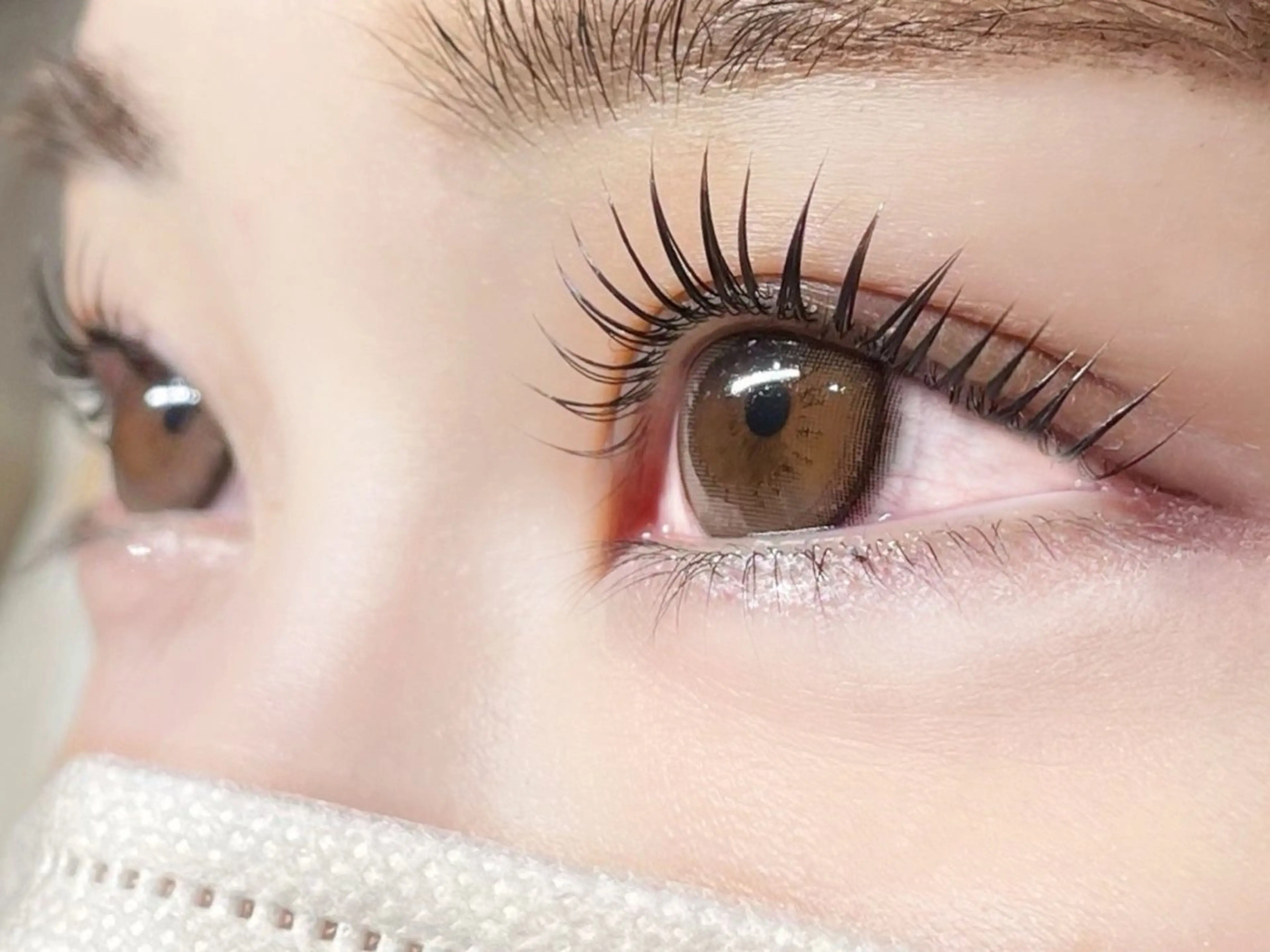 【本日限定】パッチリまつ毛パーマ👀✨の写真