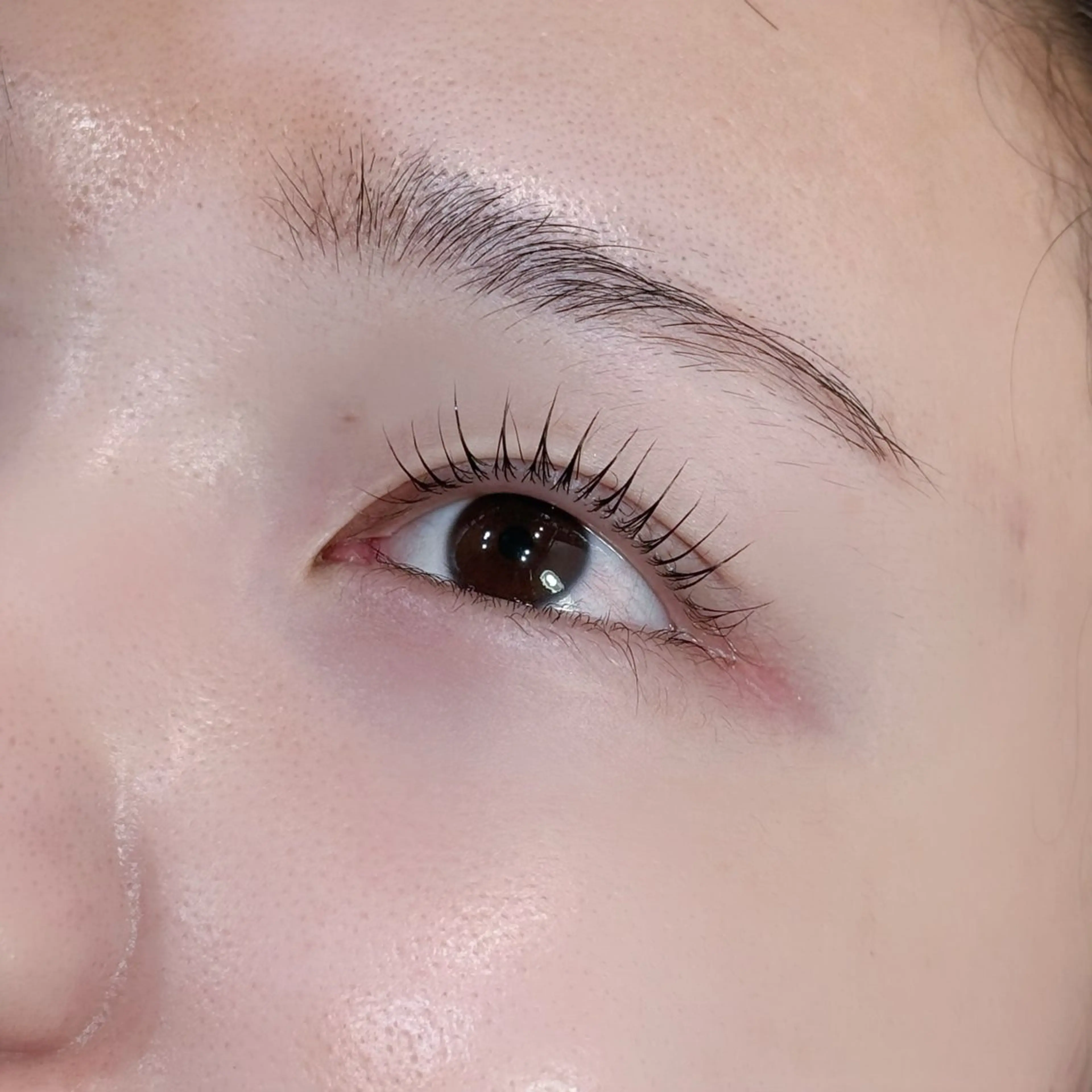 【木曜限定】まつ毛パーマ（上のみ）➕眉毛WAXの写真