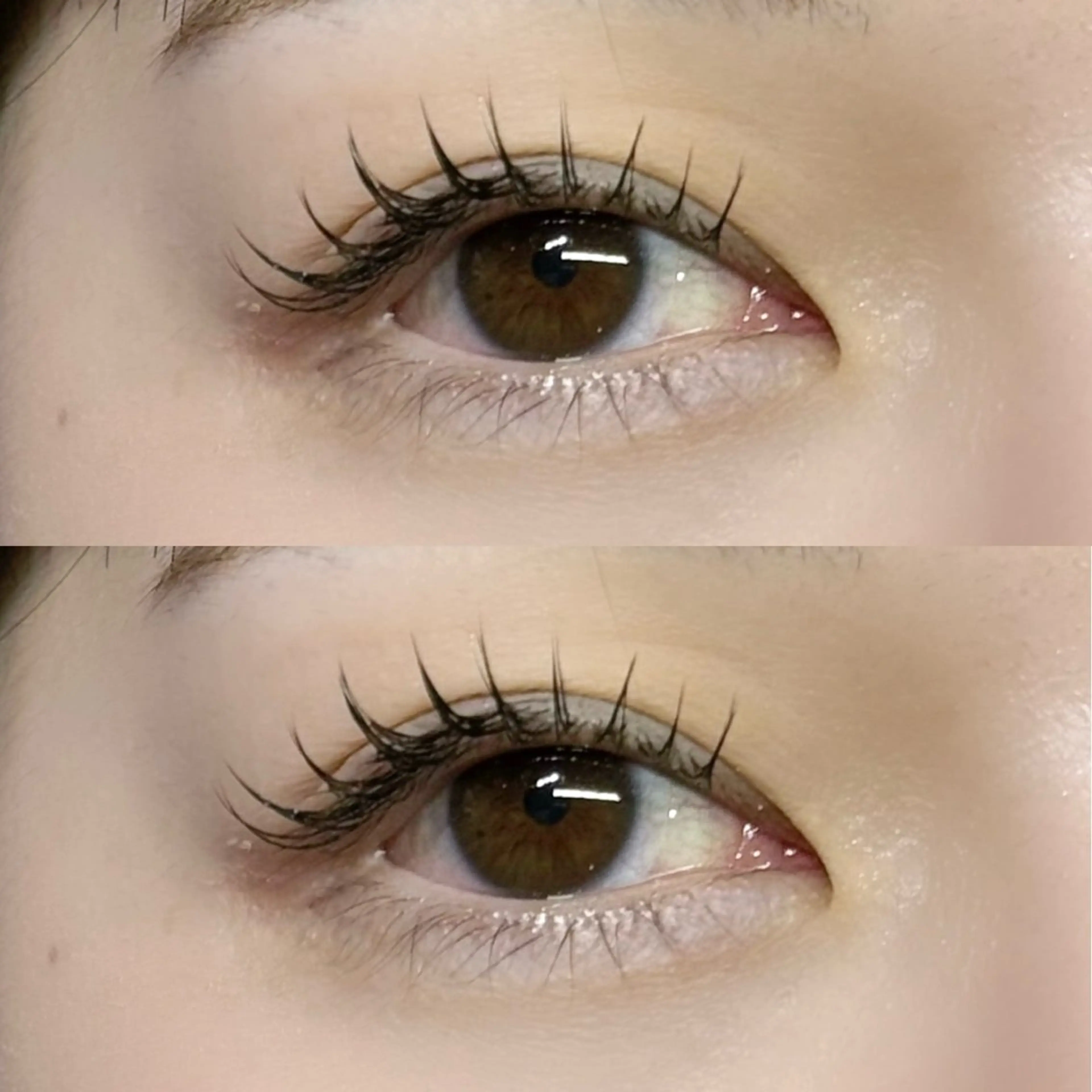 マツエク・マツパ 束感まつ毛 セーブル scarlet asahiのマツエク・マツパデザイン