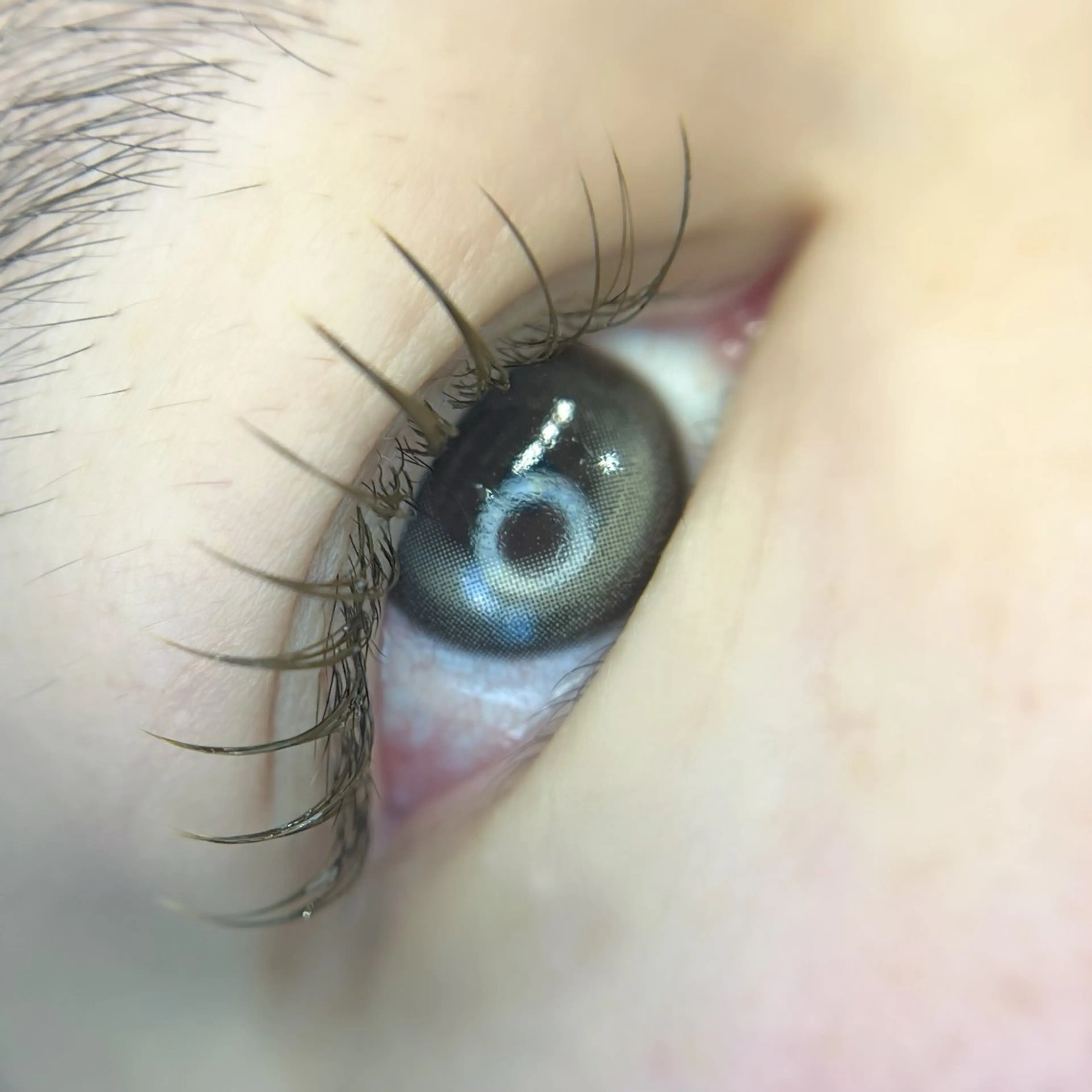 マツエク・マツパ マツエク Lau【ラウ】所属・Lau【ラウ】 ⁂NaNaのマツエク・マツパデザイン