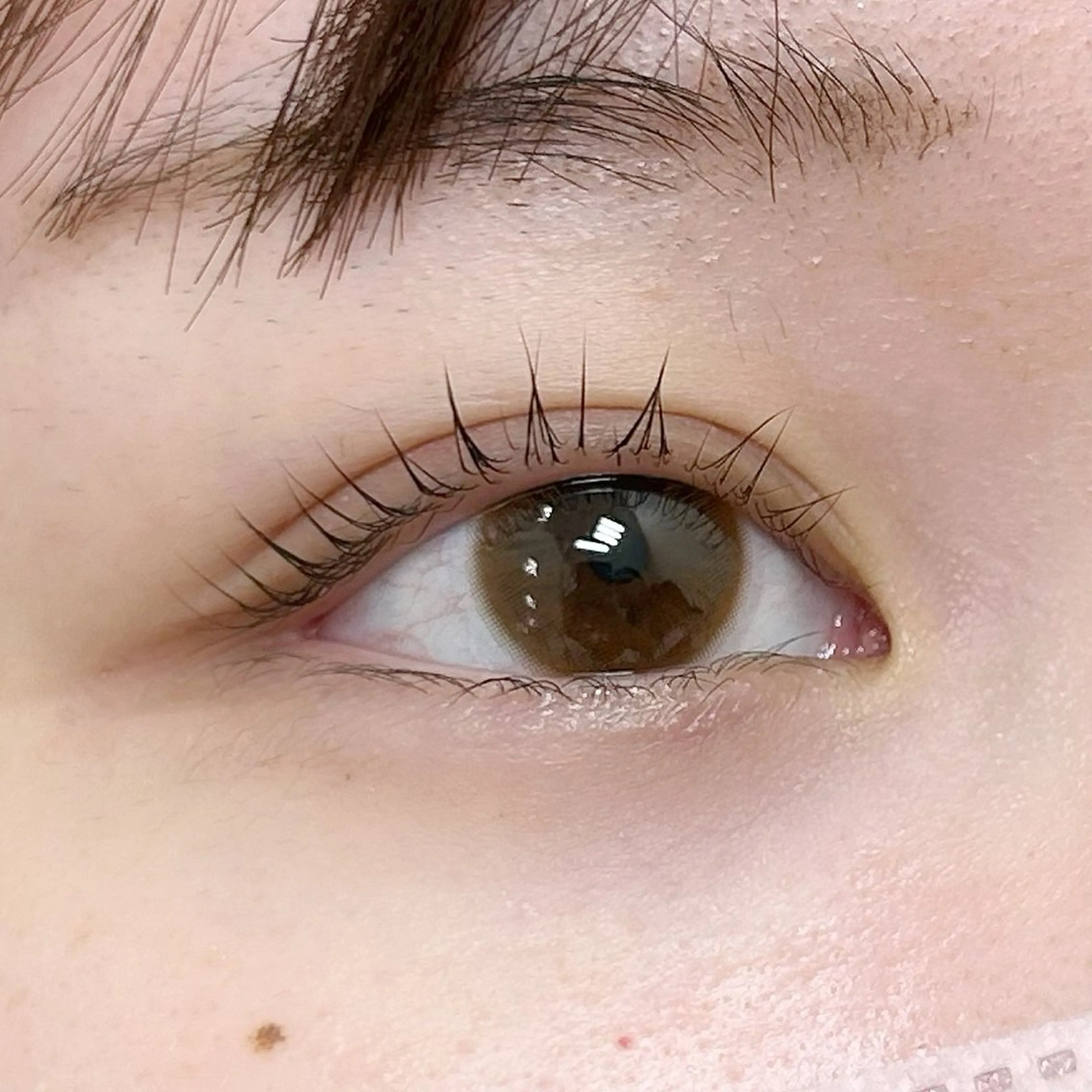 マツエク・マツパ まつエク専門 アイスタイル所属・EYESTYLE IYOの眉毛・アイブロウイメージ